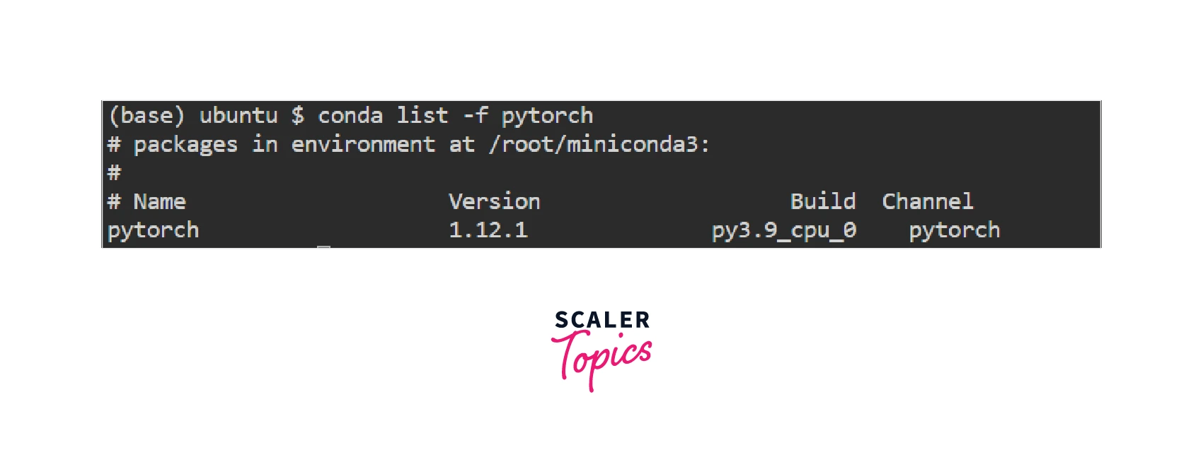 How to Install PyTorch? Scaler Topics