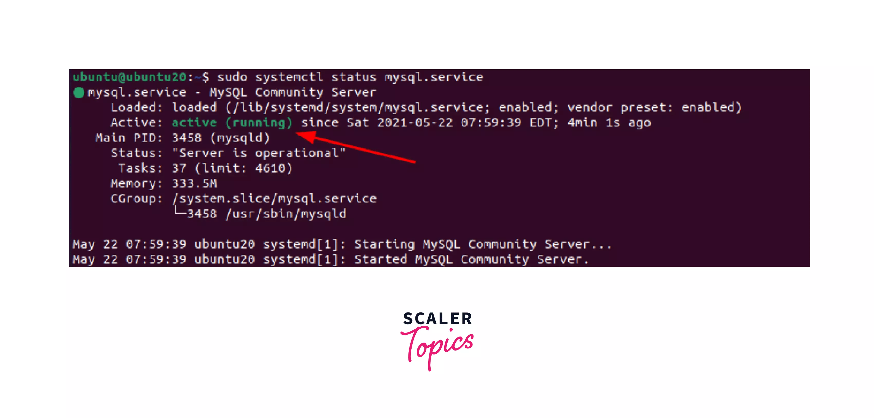 How to Install MySQL in Windows 10, macOS & Ubuntu Scaler Topics