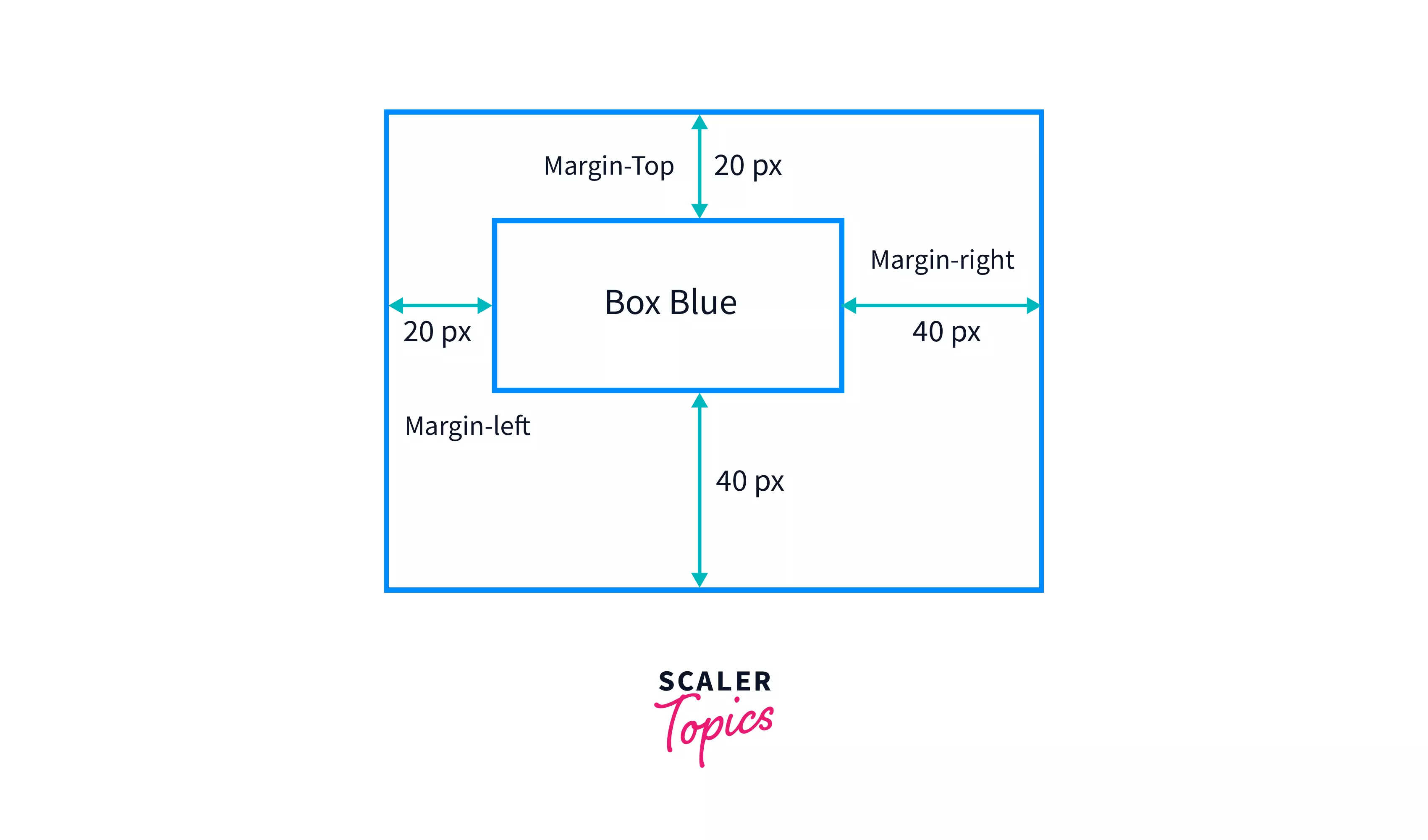 CSS Margin Margin Property in CSS Scaler Topics