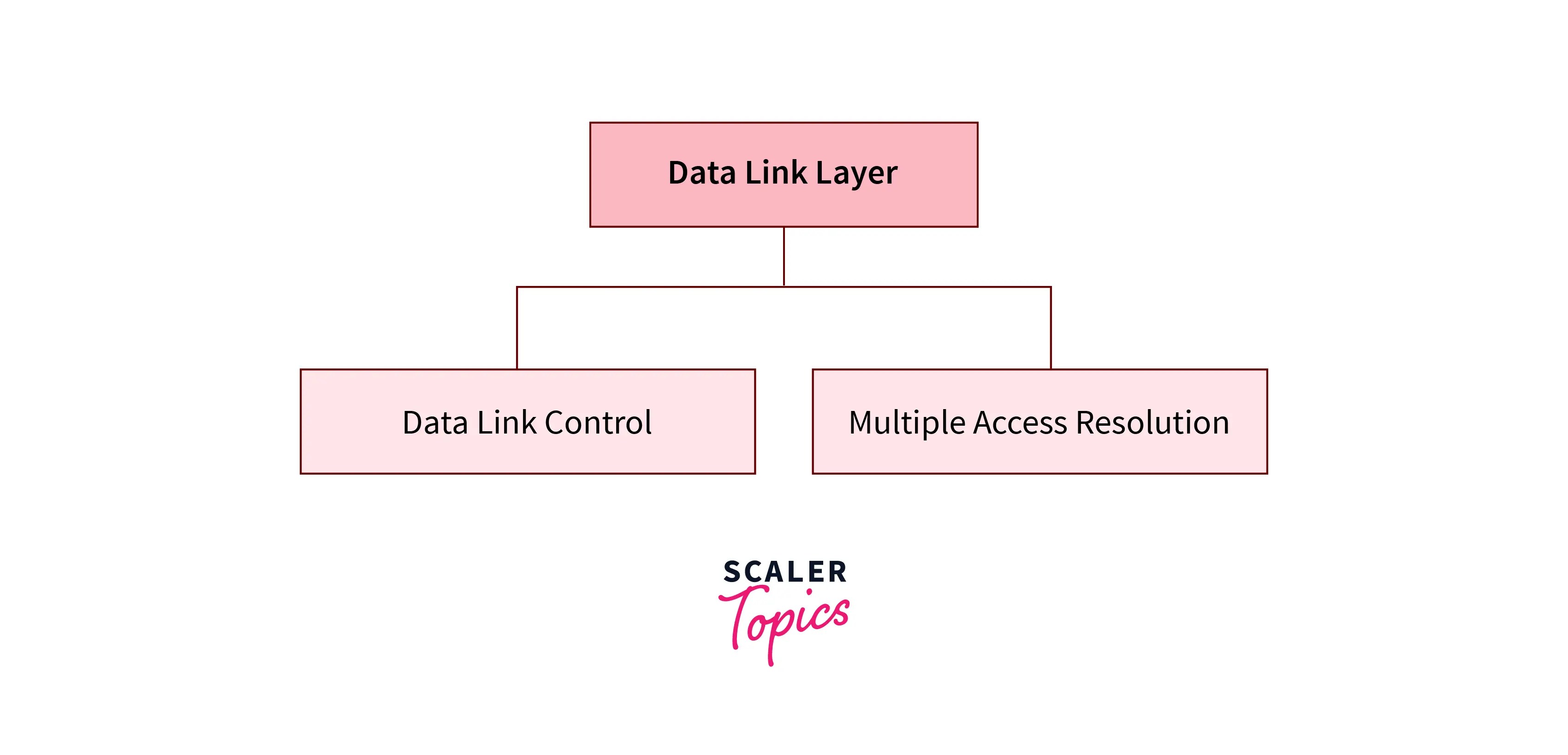 Multiple Access Protocols Scaler Topics
