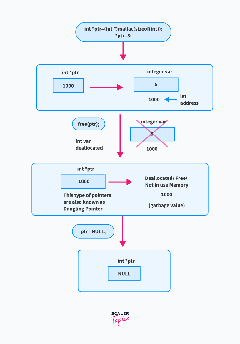 Dynamic Memory Allocation in C using malloc(), calloc(), free