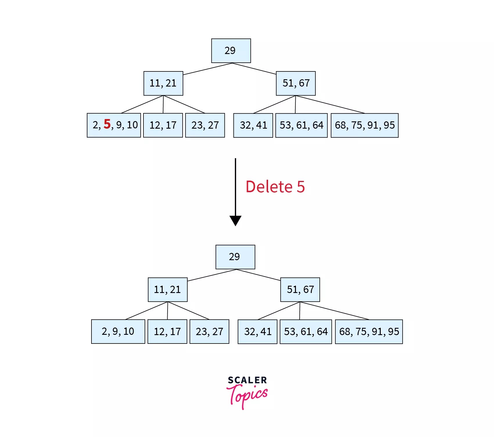 B Tree in Data Structure Scaler Topics
