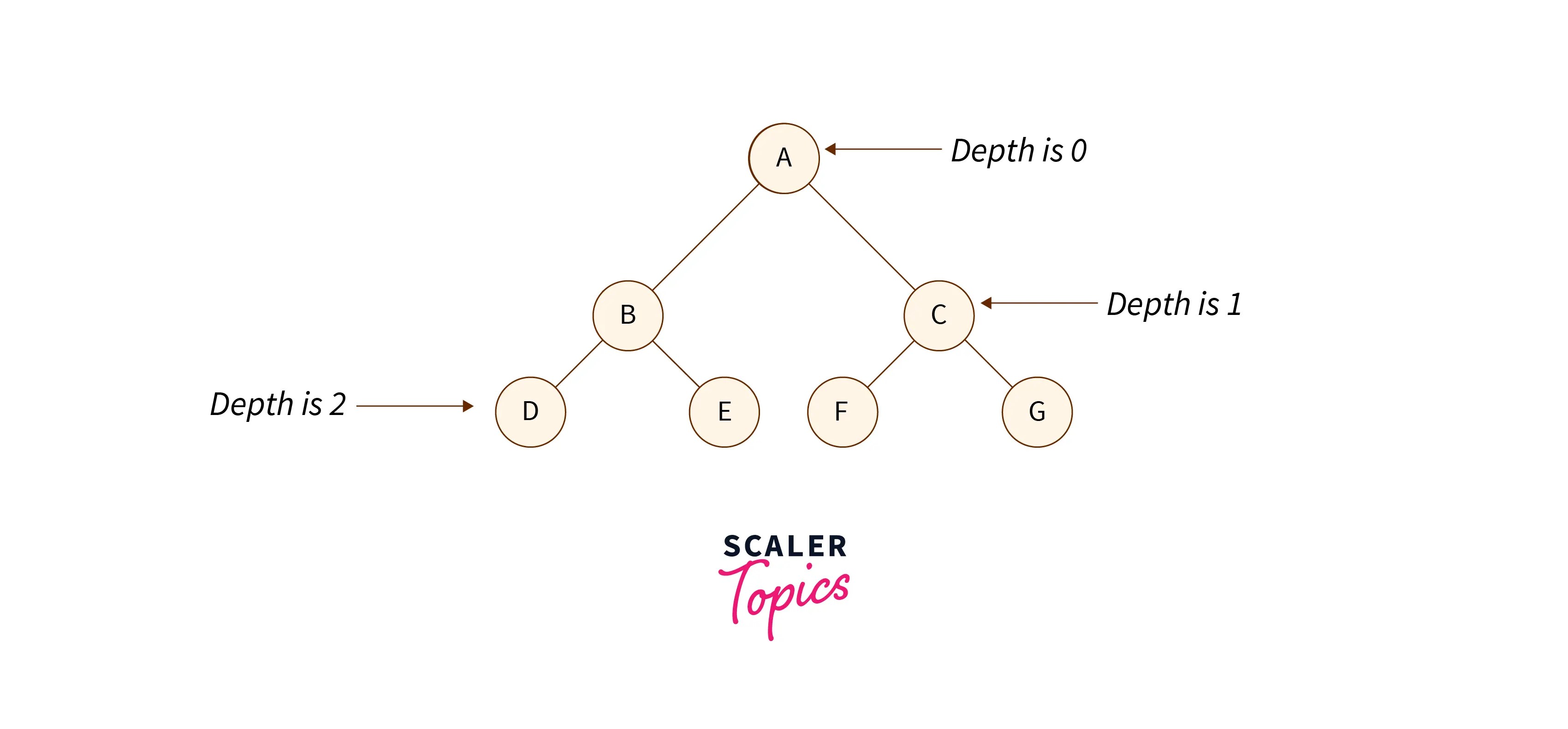 types of trees in data structures Scaler Topics