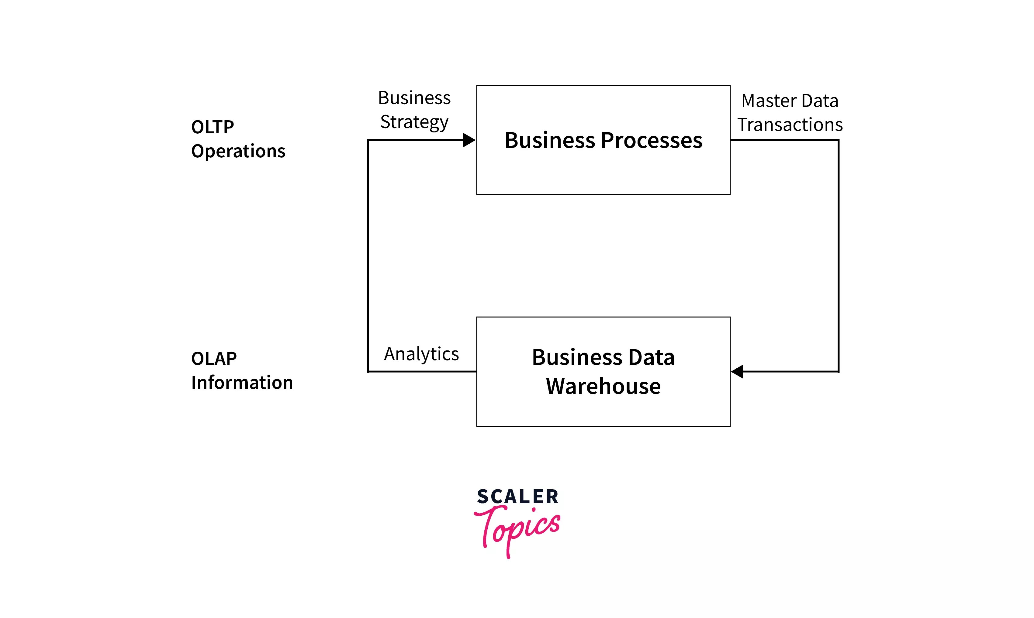 OLTP Vs OLAP The Ultimate Comparison Scaler Topics