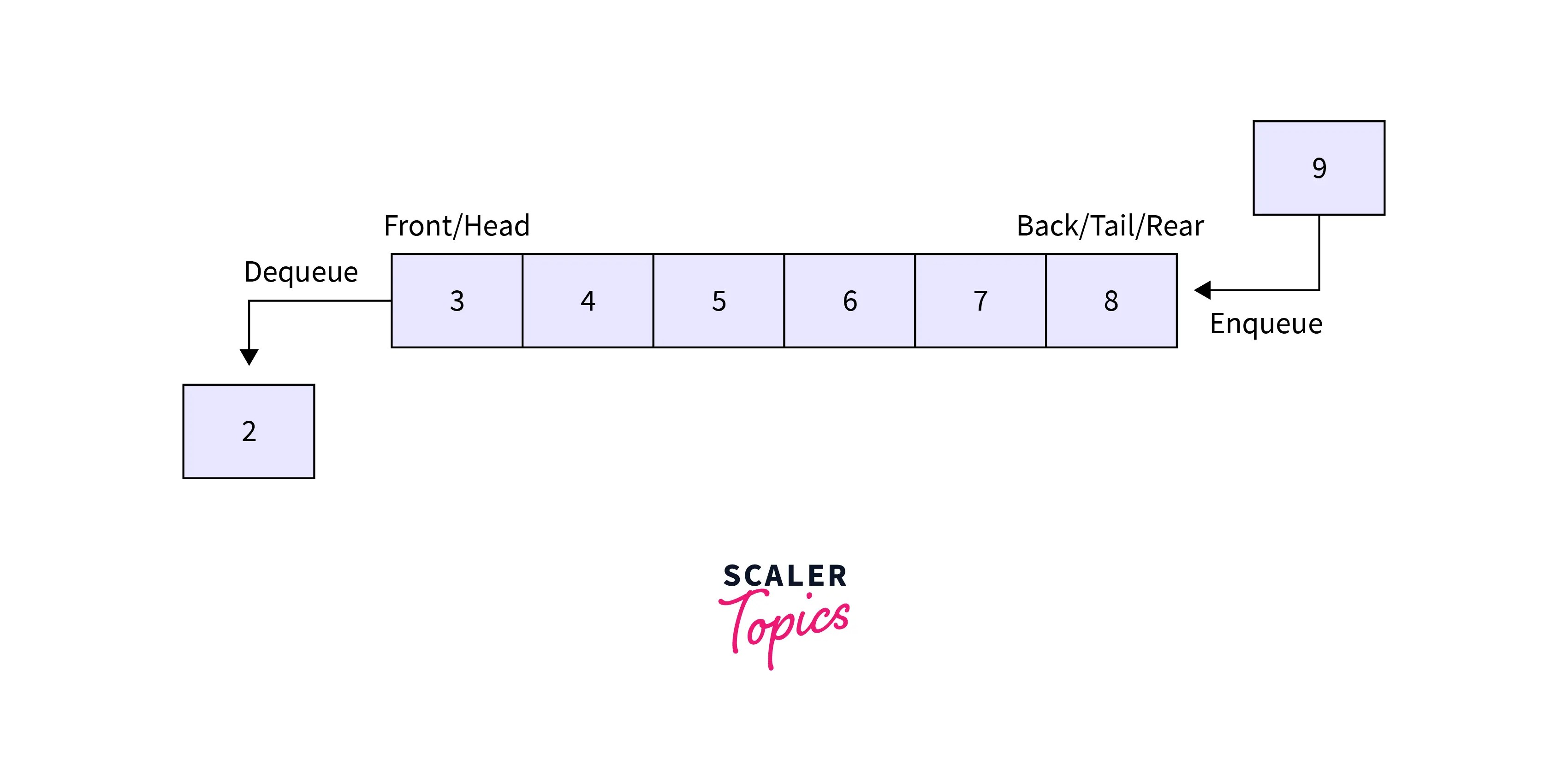 Difference Between Primitive and Non Primitive Data Structure Scaler