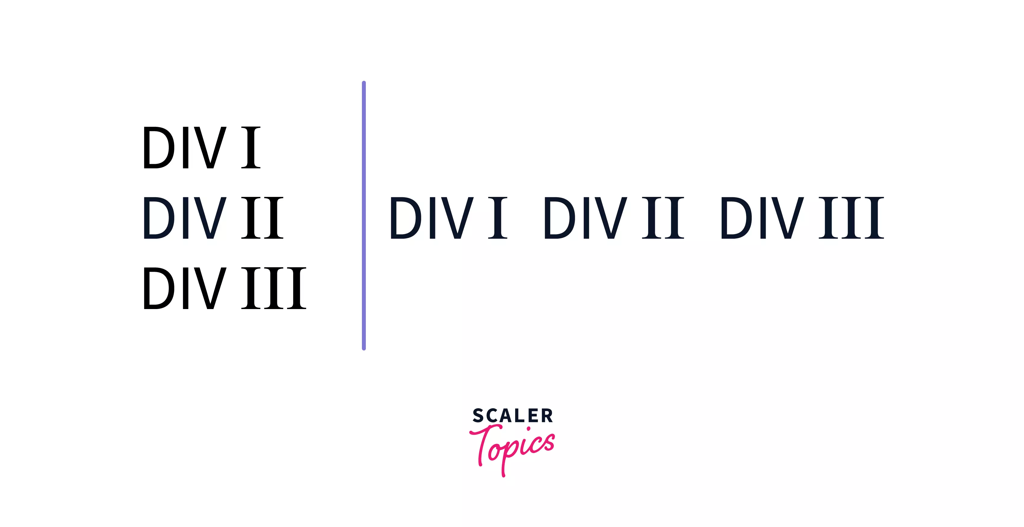 CSS Display Property Scaler Topics
