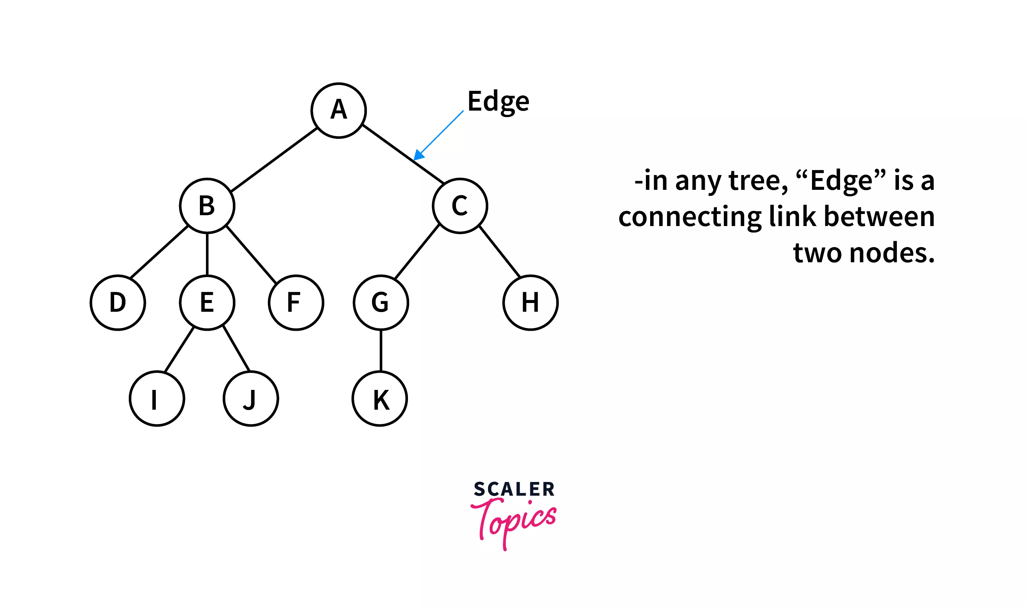 Binary Tree in C Types and Implementation Scaler Topics
