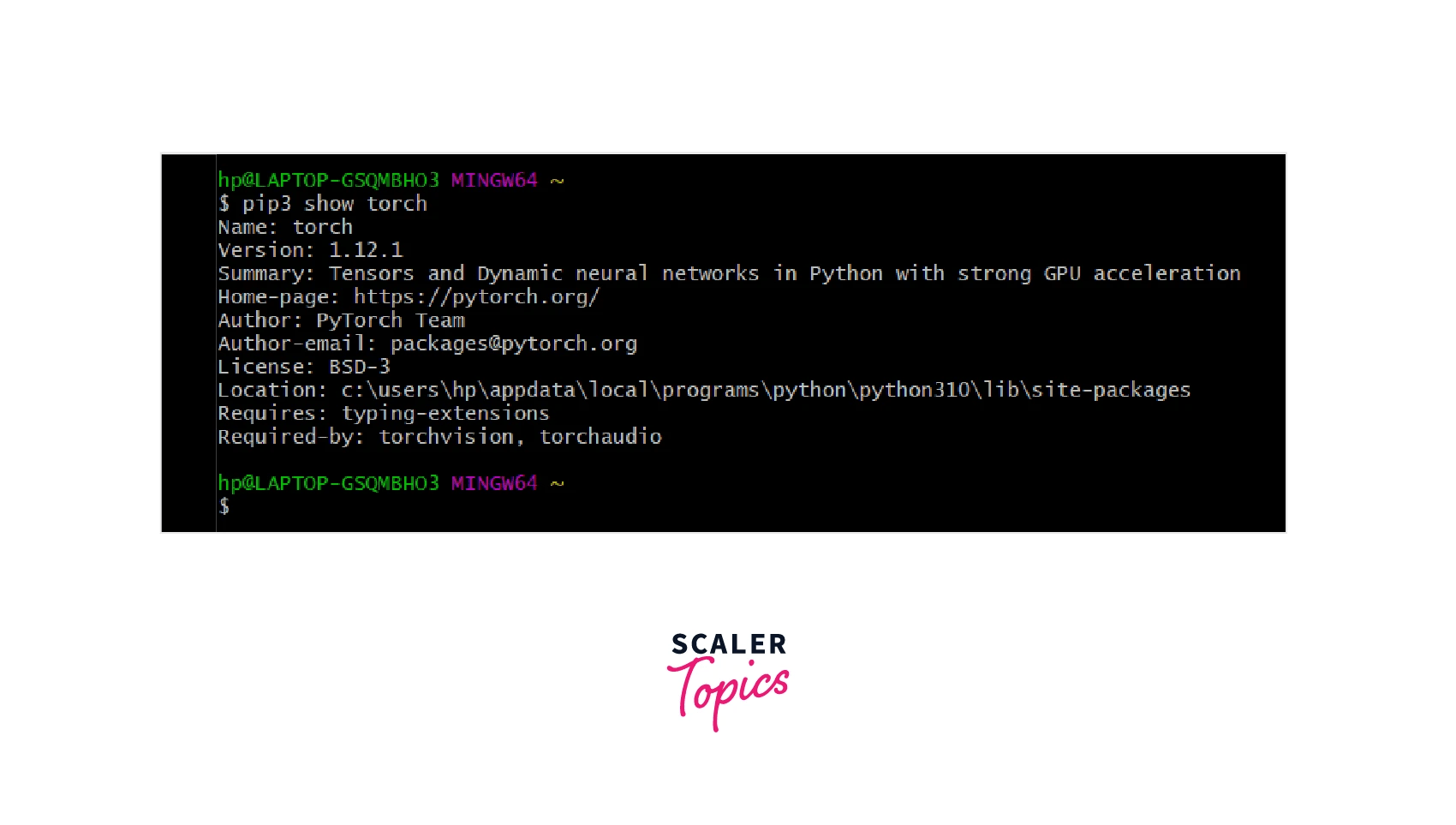 How to Install PyTorch? Scaler Topics