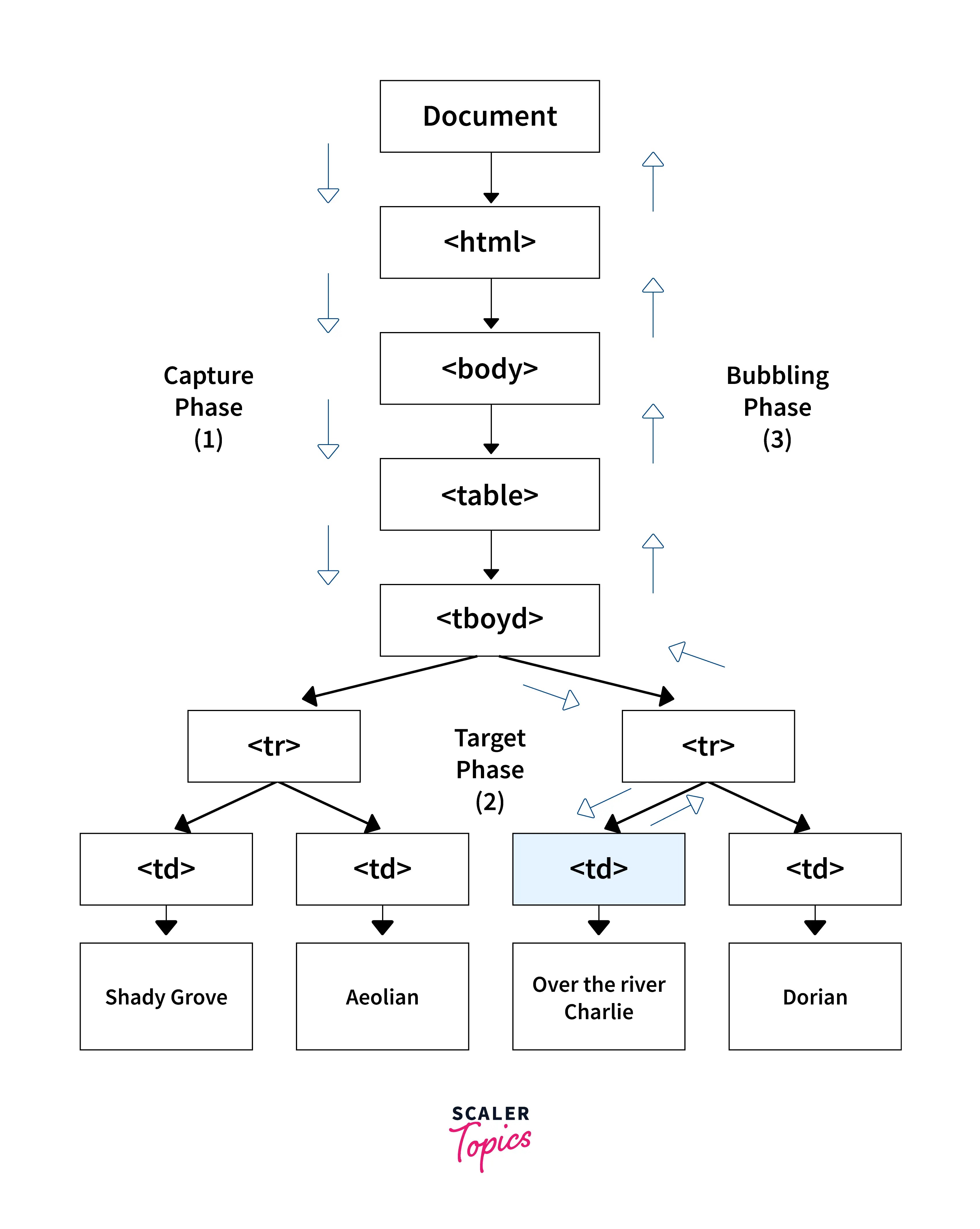 What is Event Bubbling in JavaScript? Scaler Topics