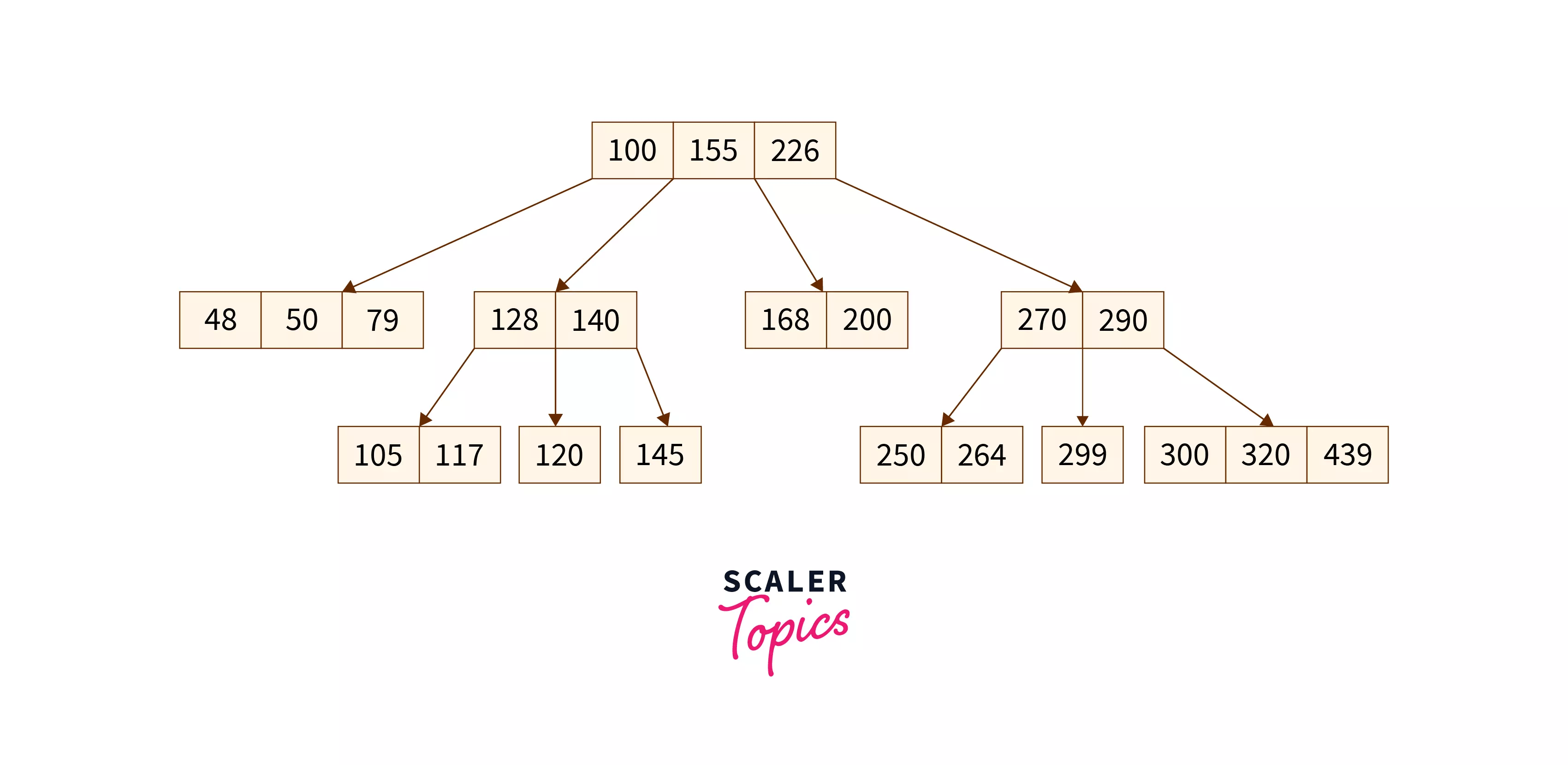 B Tree in DBMS Scaler Topics