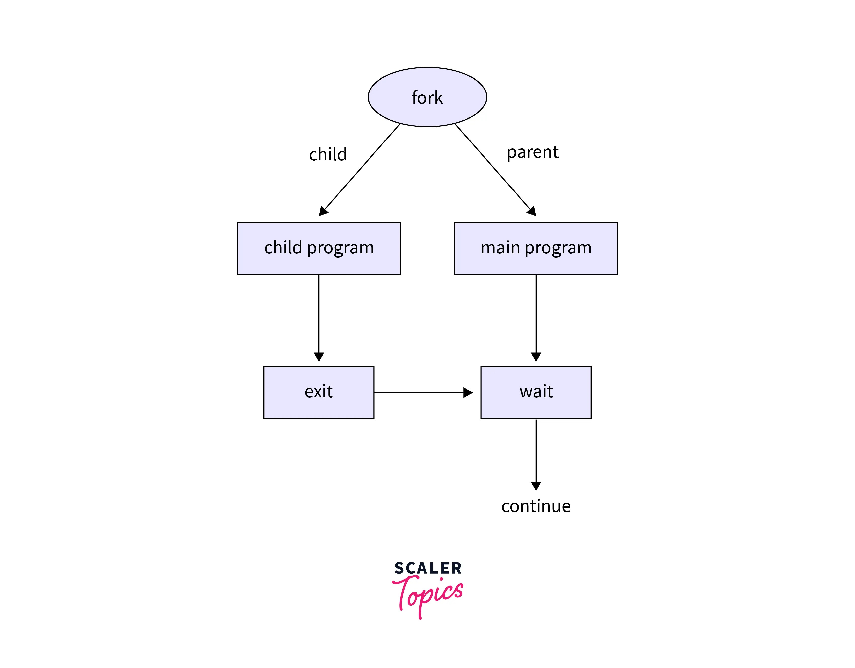 Fork() System Call Scaler Topics