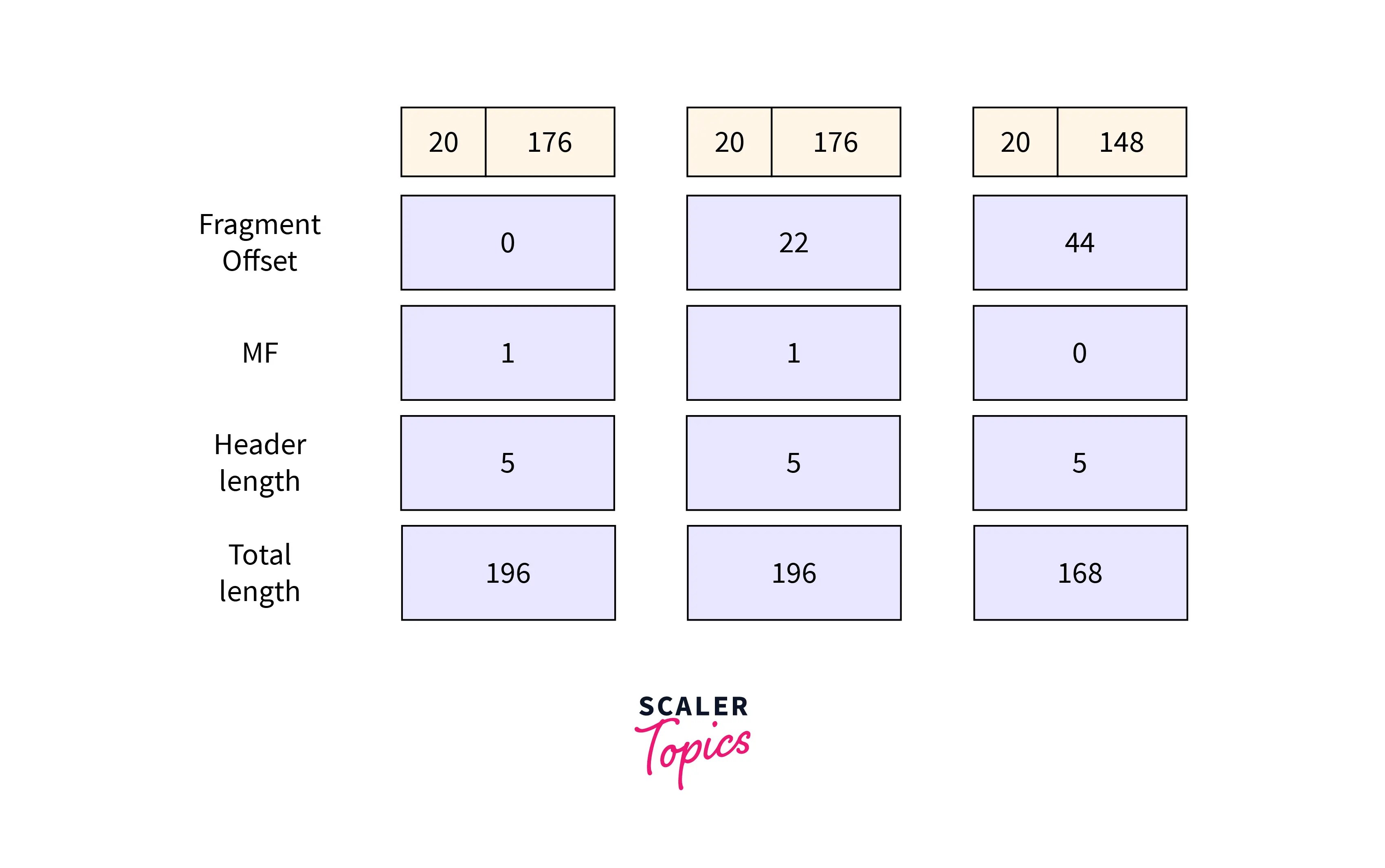 Fragmentation in Networking Scaler Topics