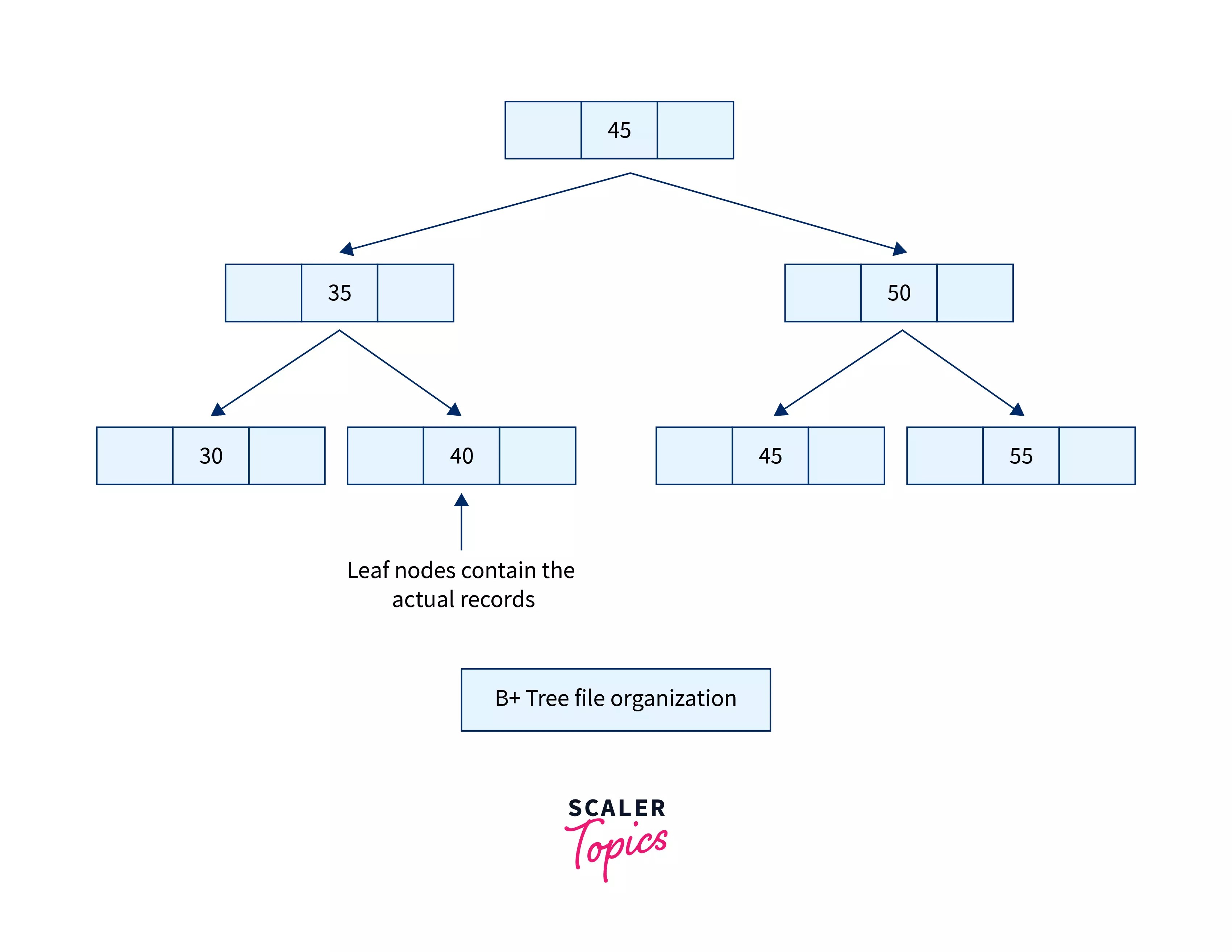 File Organization in DBMS Scaler Topics