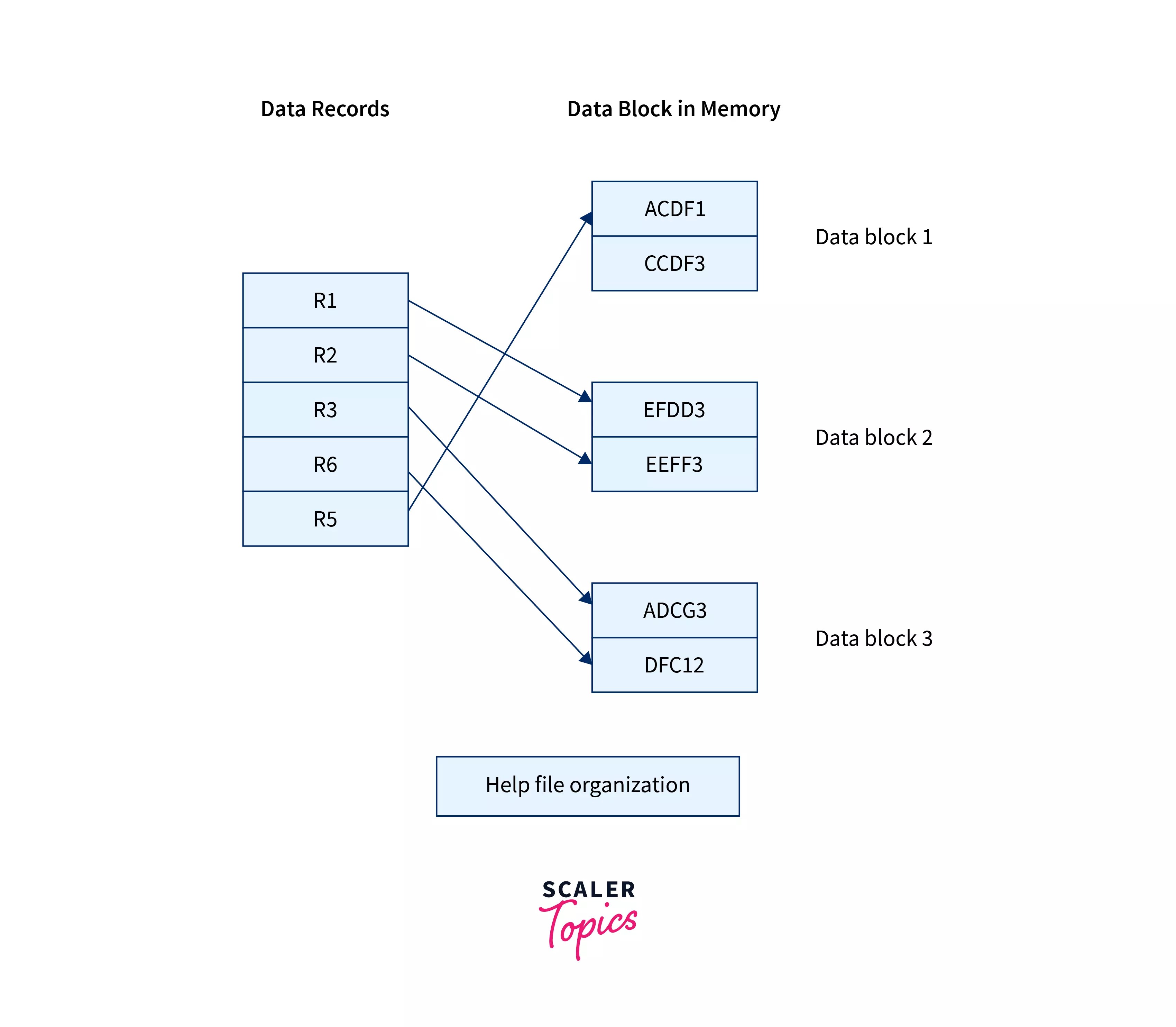 File Organization in DBMS Scaler Topics