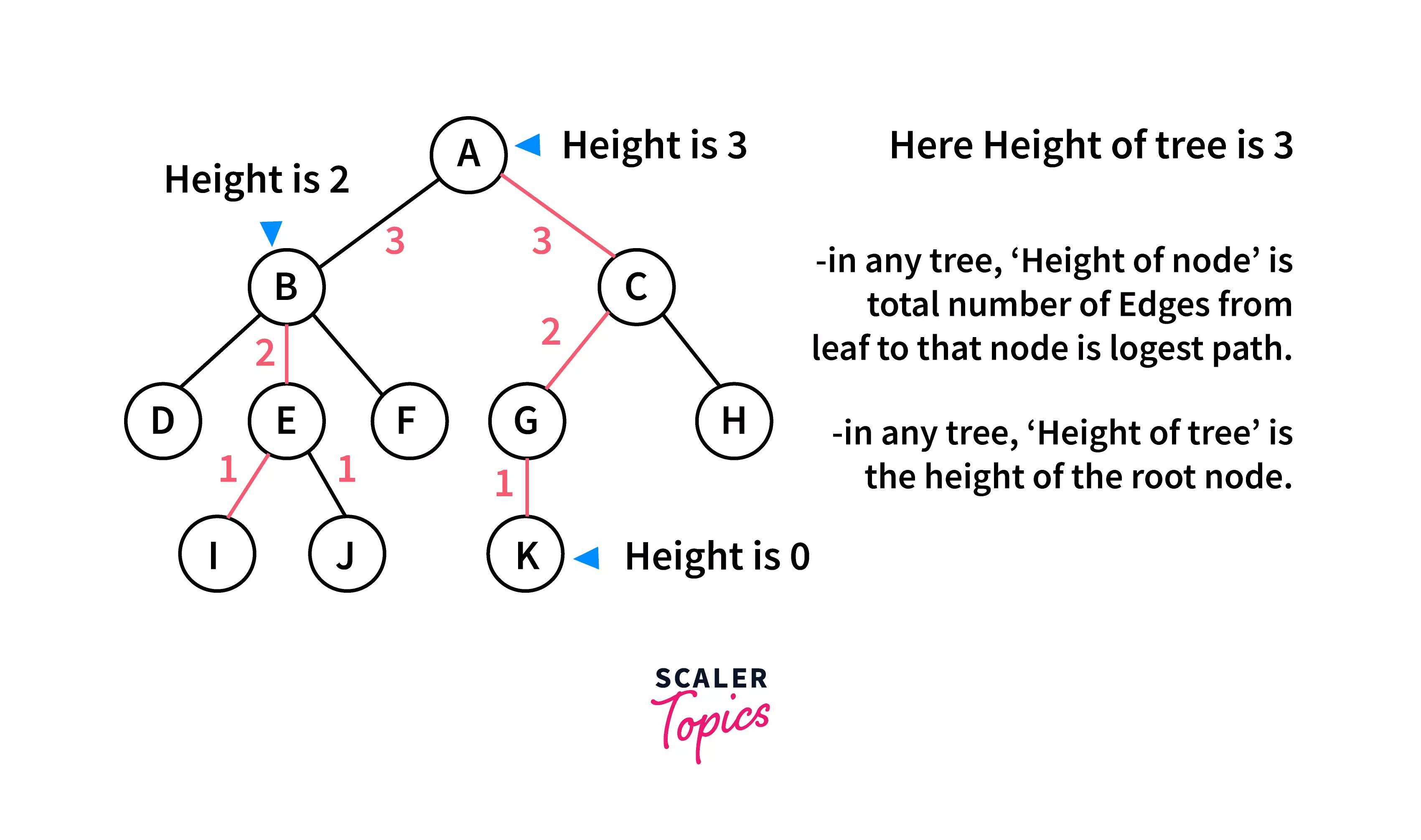 Binary Tree in C Types and Implementation Scaler Topics