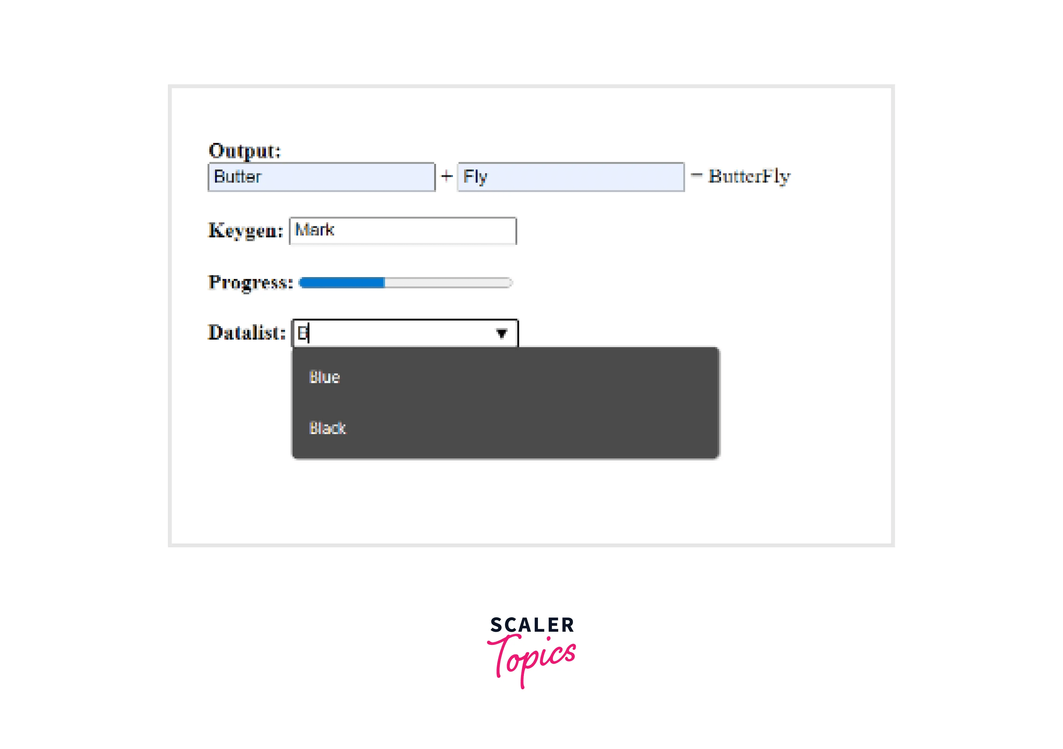 HTML5 New Tags Scaler Topics