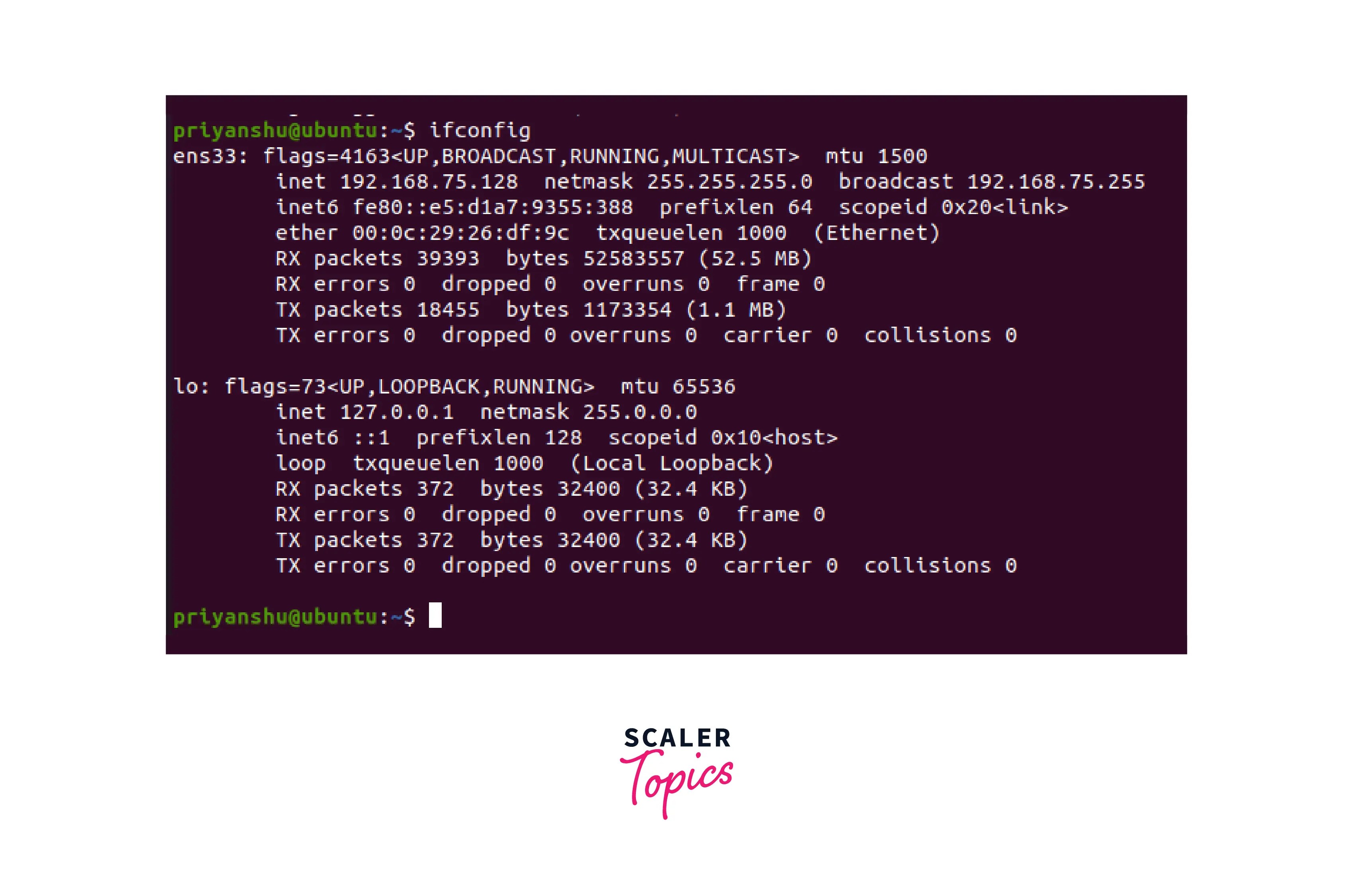 Linux Networking Commands Scaler Topics