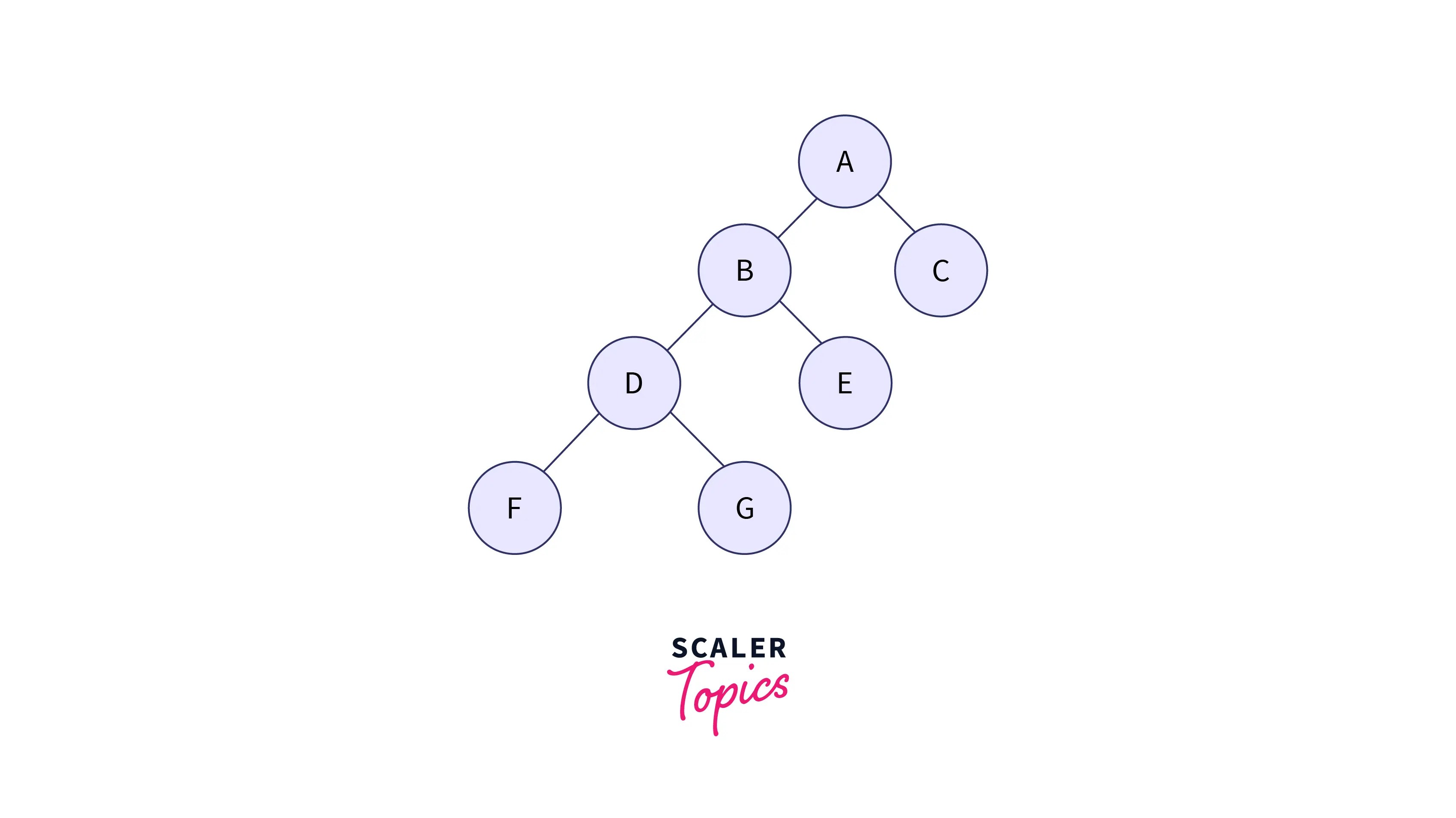 Types of Binary Tree Scaler Topics