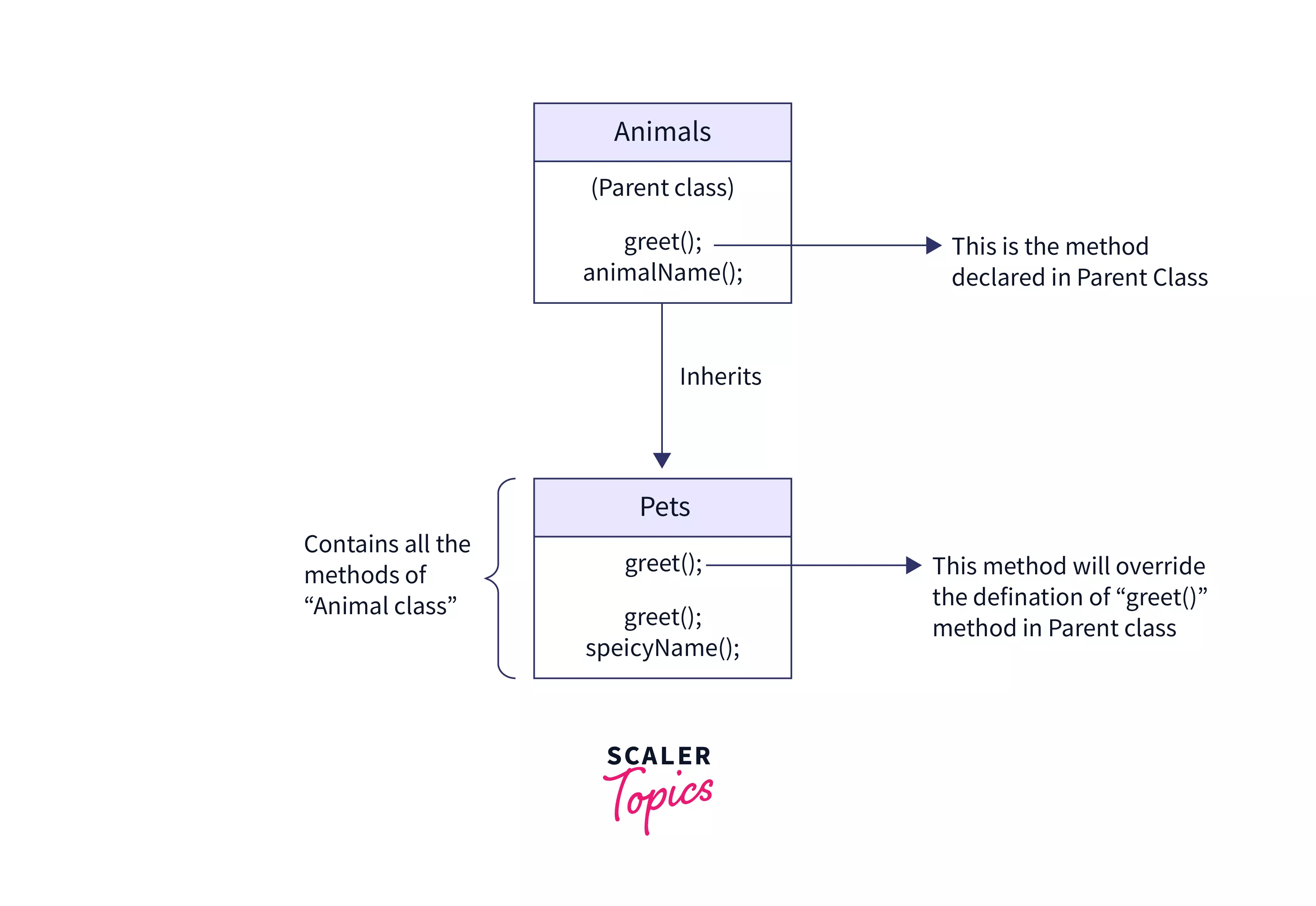 JavaScript Class Inheritance Scaler Topics