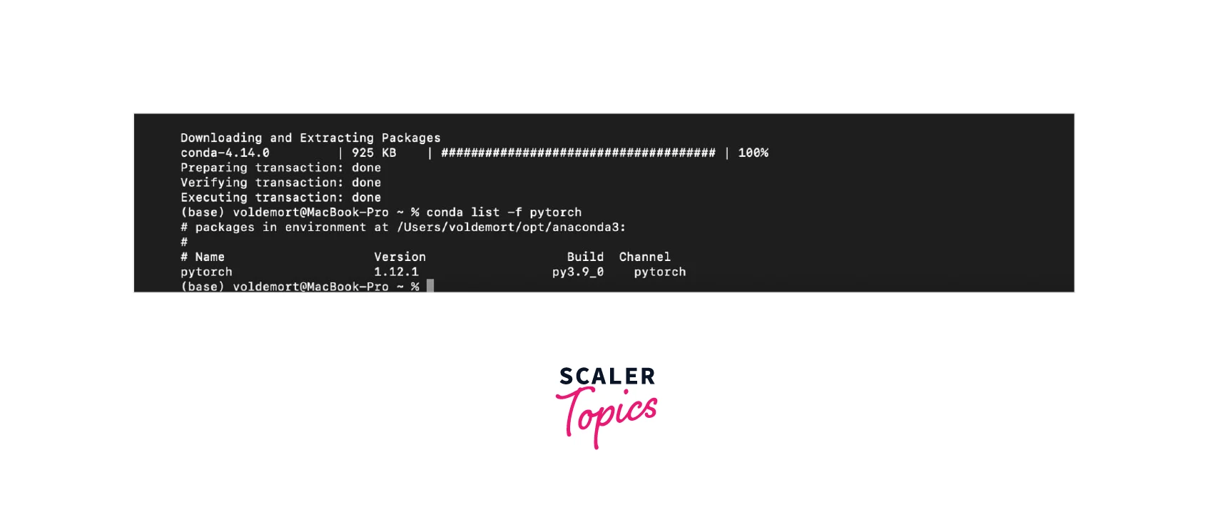How to Install PyTorch? Scaler Topics