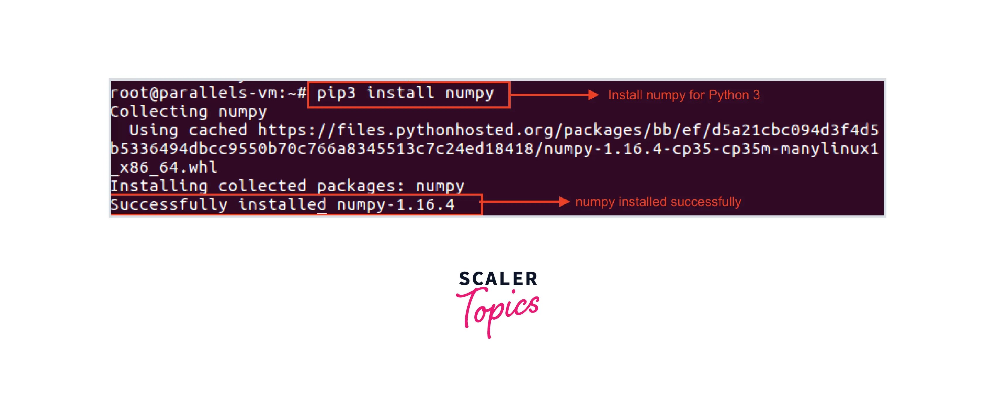 How To Install NumPy In Python? Scaler Topics