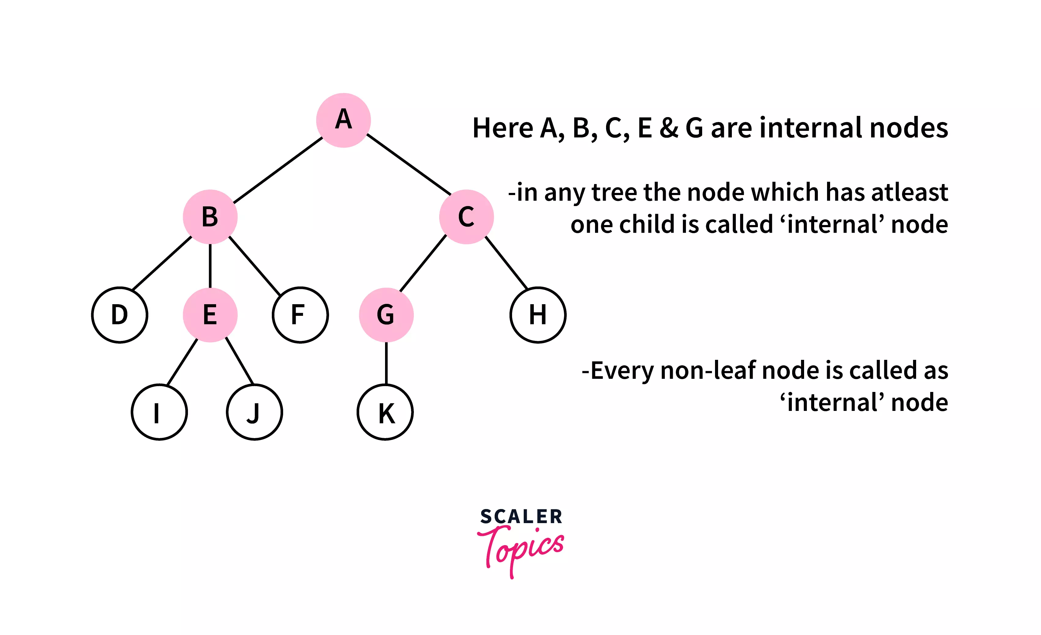Binary Tree in C Types and Implementation Scaler Topics