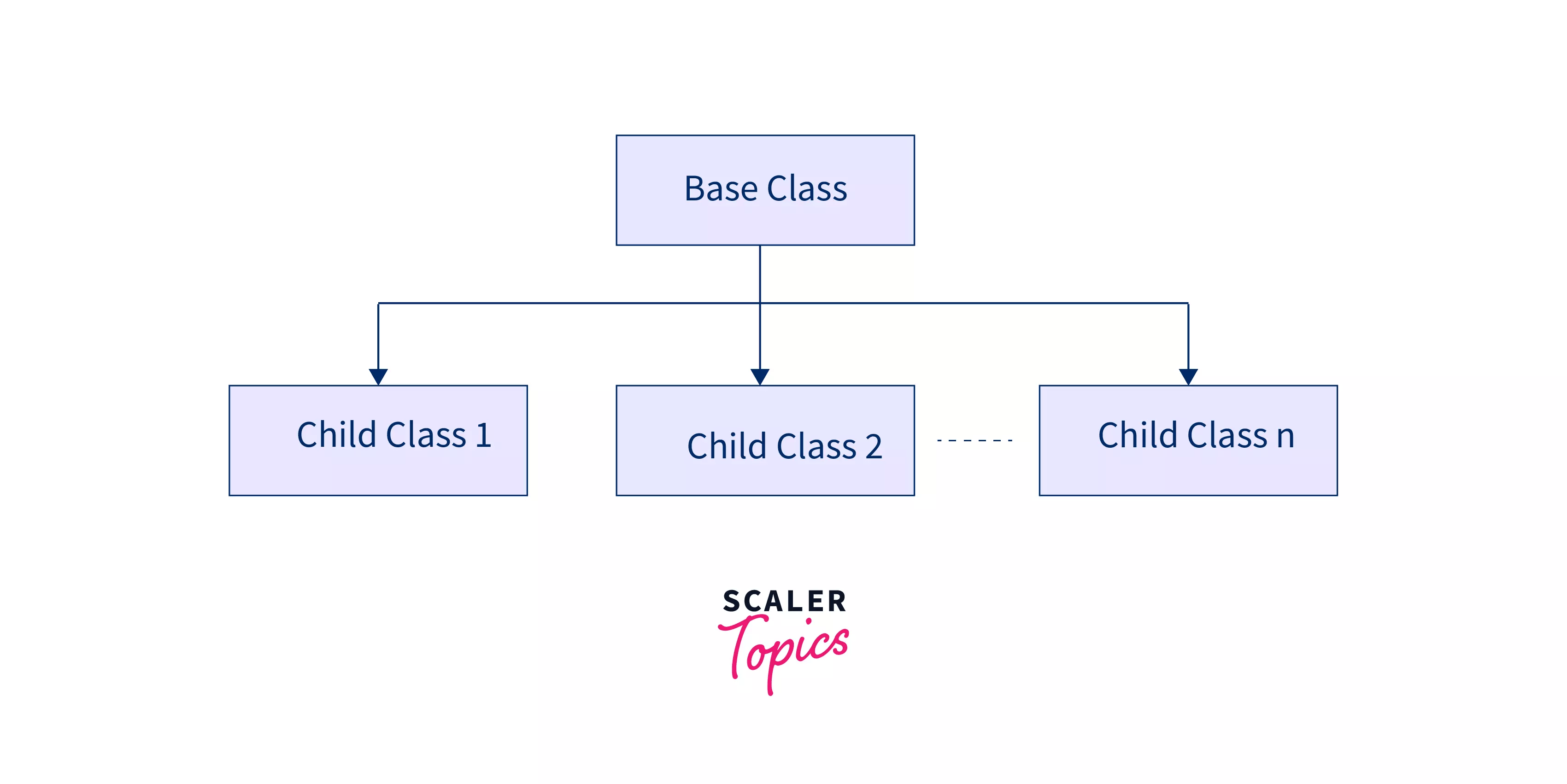 Hierarchical Inheritance in Java with Example Scaler Topics