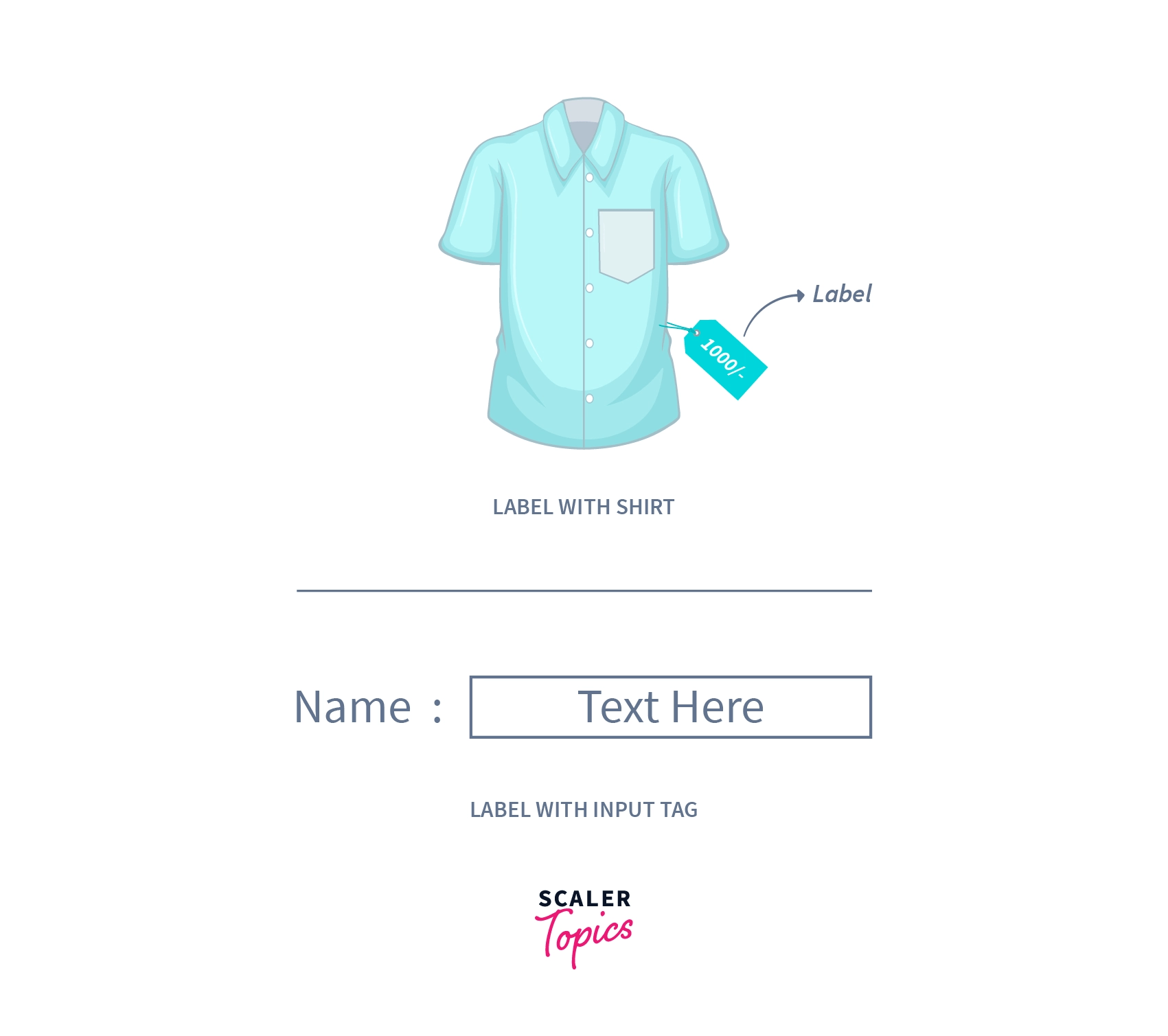 Tag in HTML Scaler Topics