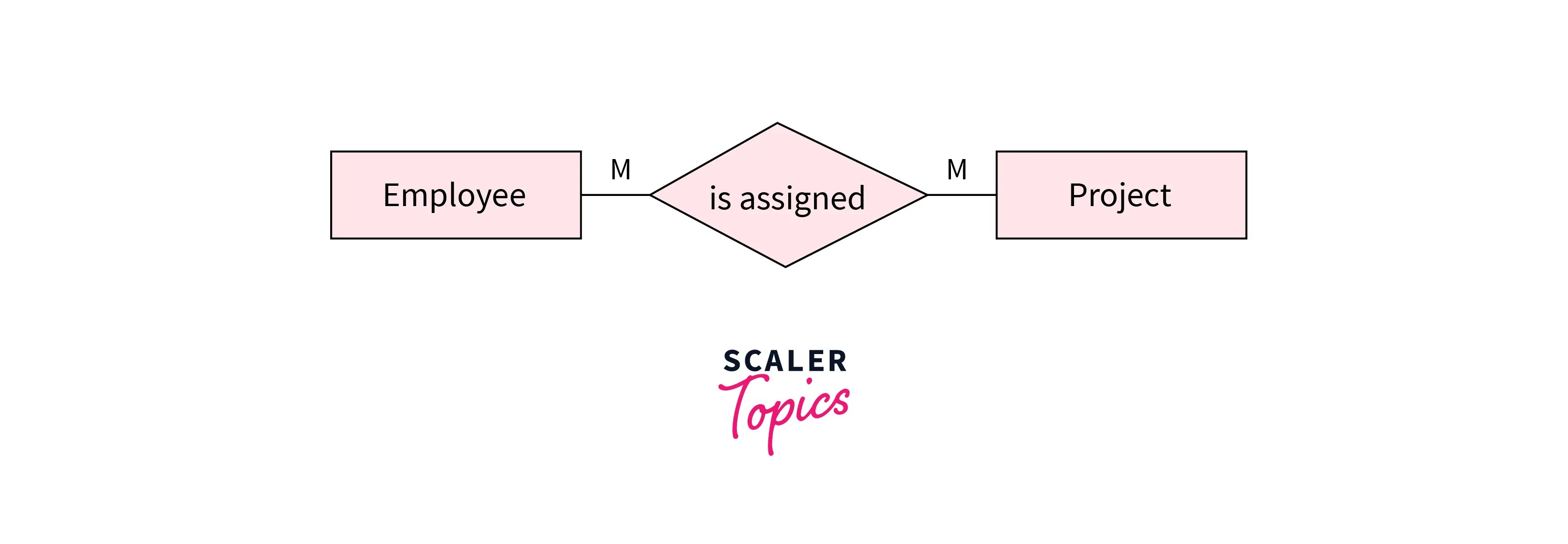 What is ER Model in DBMS? - Scaler Topics