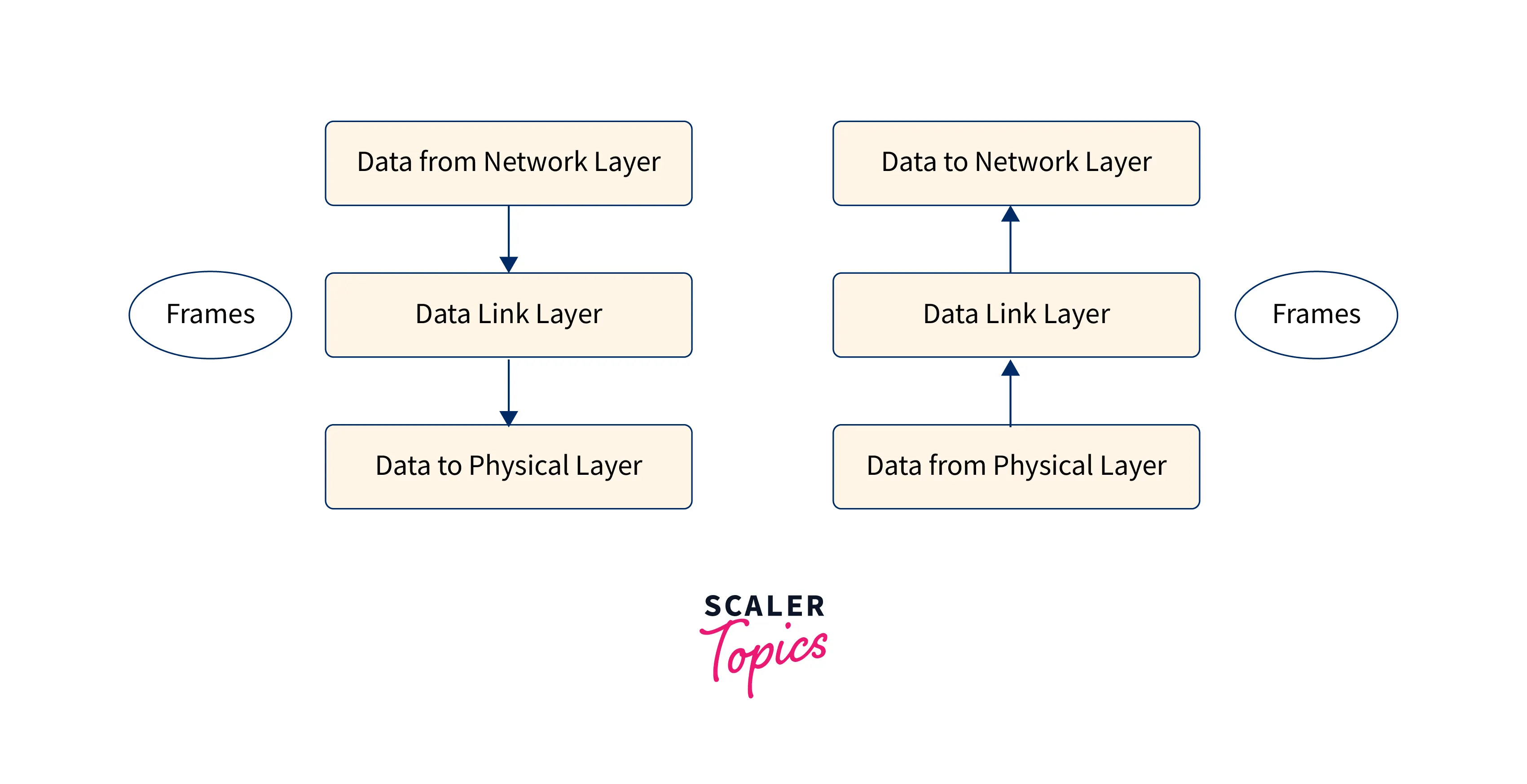 Data Link Layer in OSI Model Scaler Topics