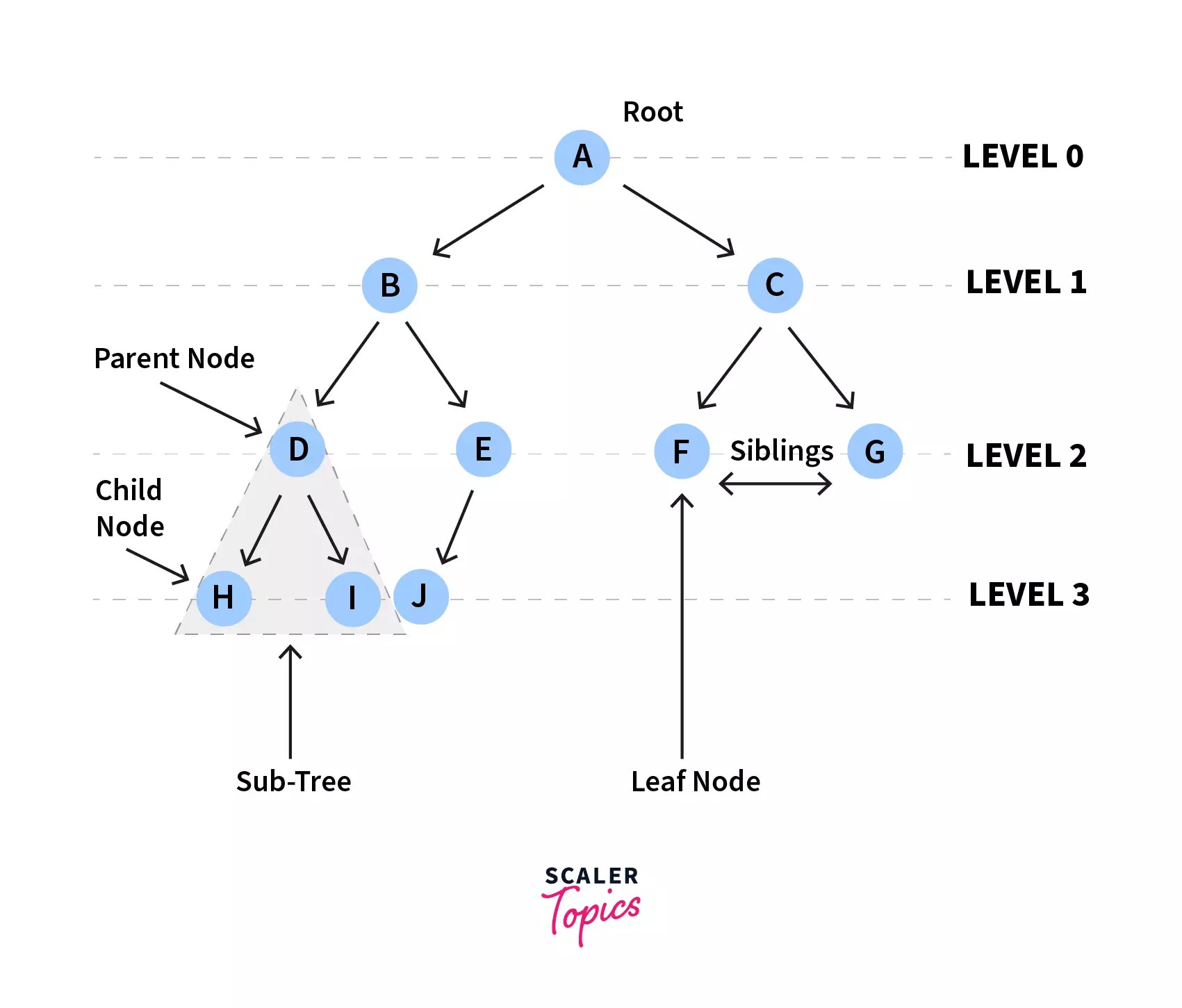 Non Linear Data Structure Scaler Topics