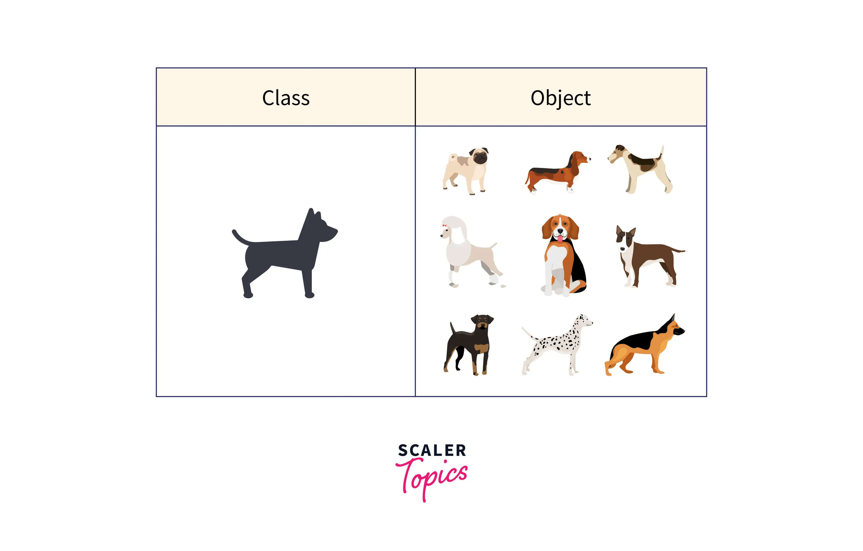 Classes and Objects in C++ Scaler Topics