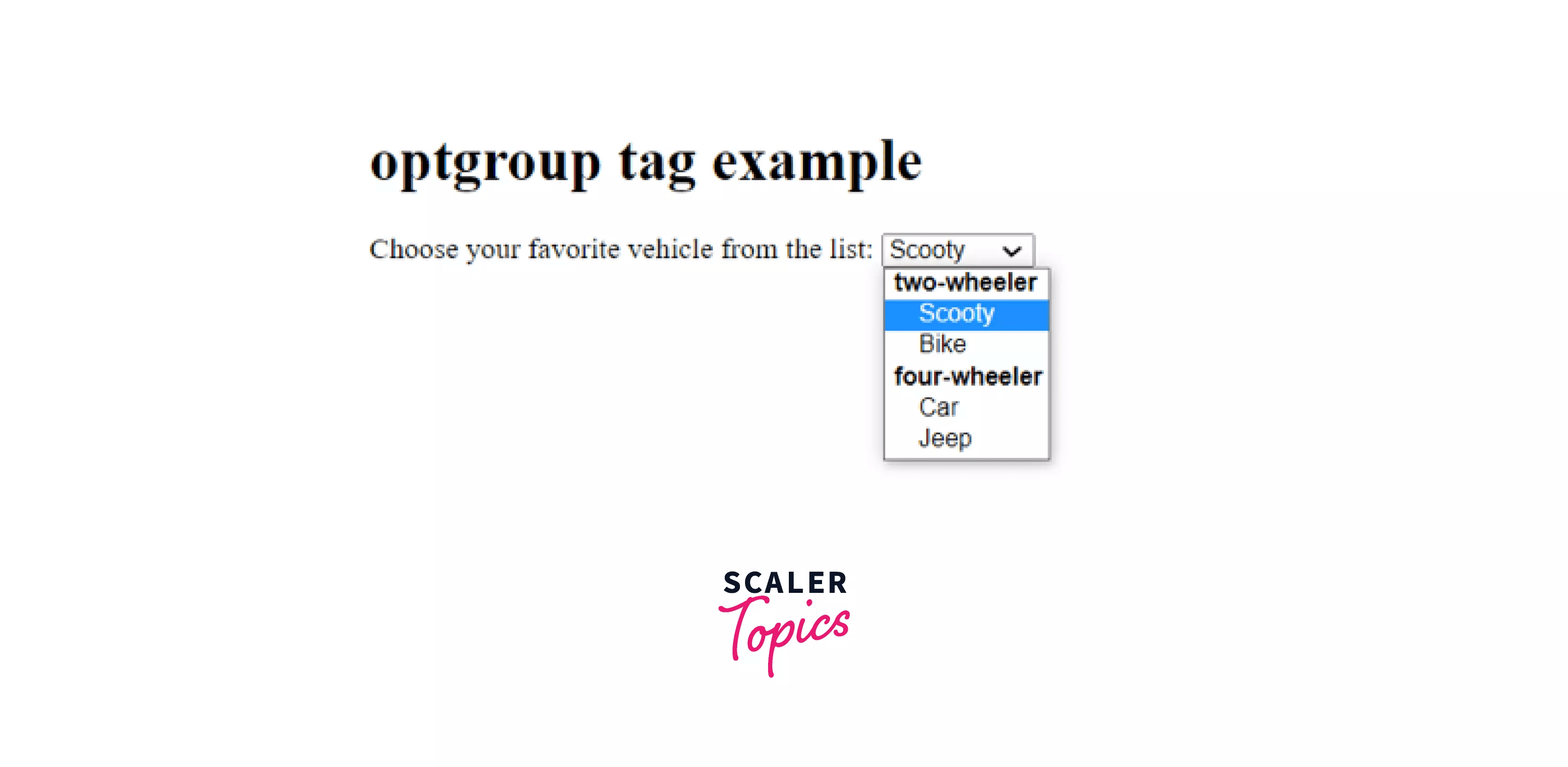 option tag in HTML Scaler Topics