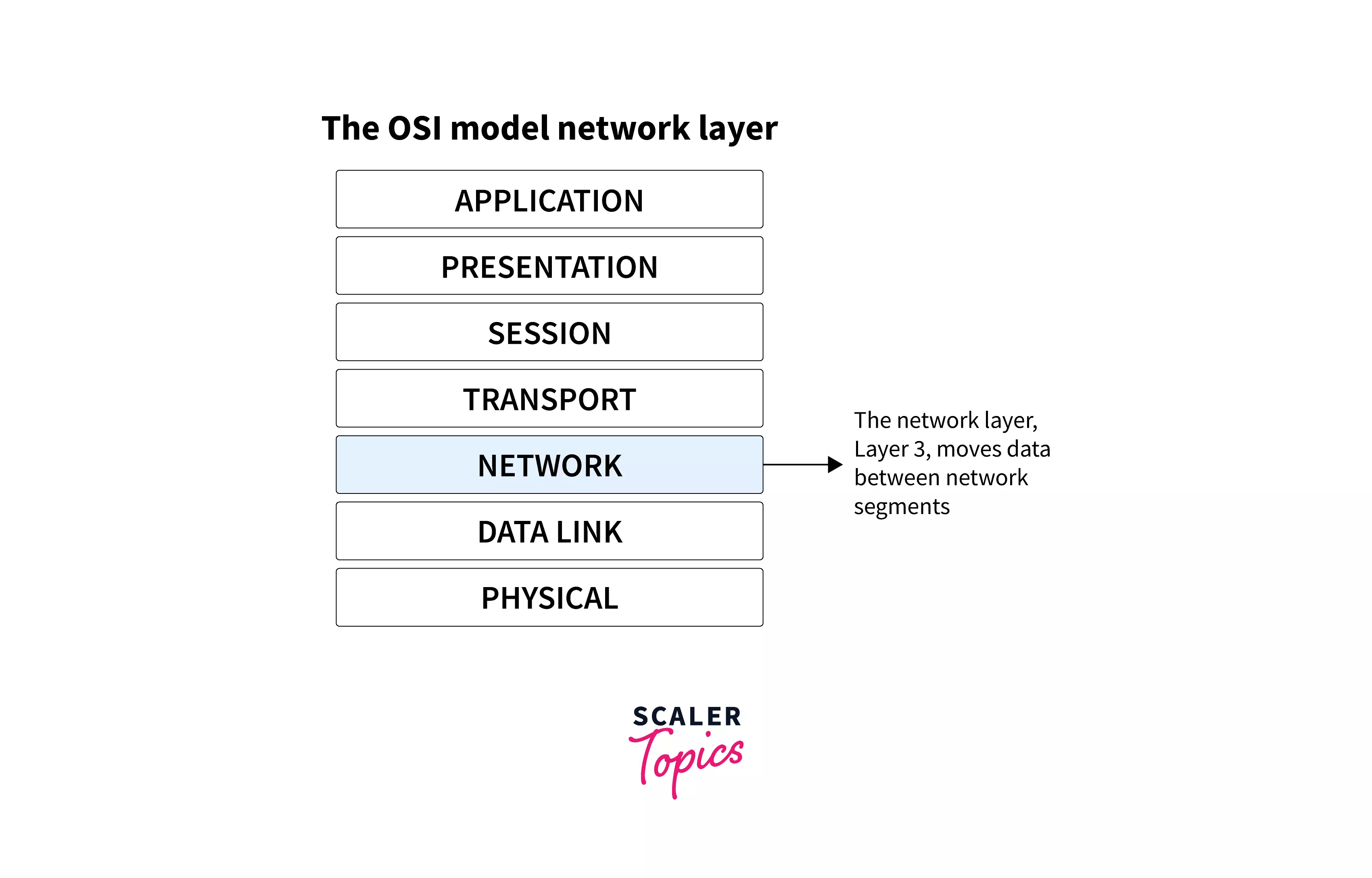 Network Layer Protocols Scaler Topics