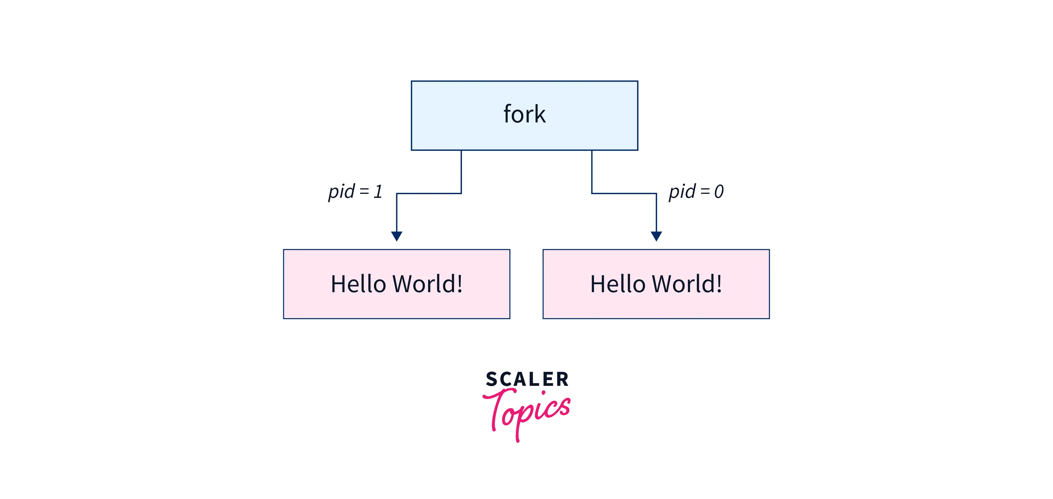 C fork() Function Scaler Topics
