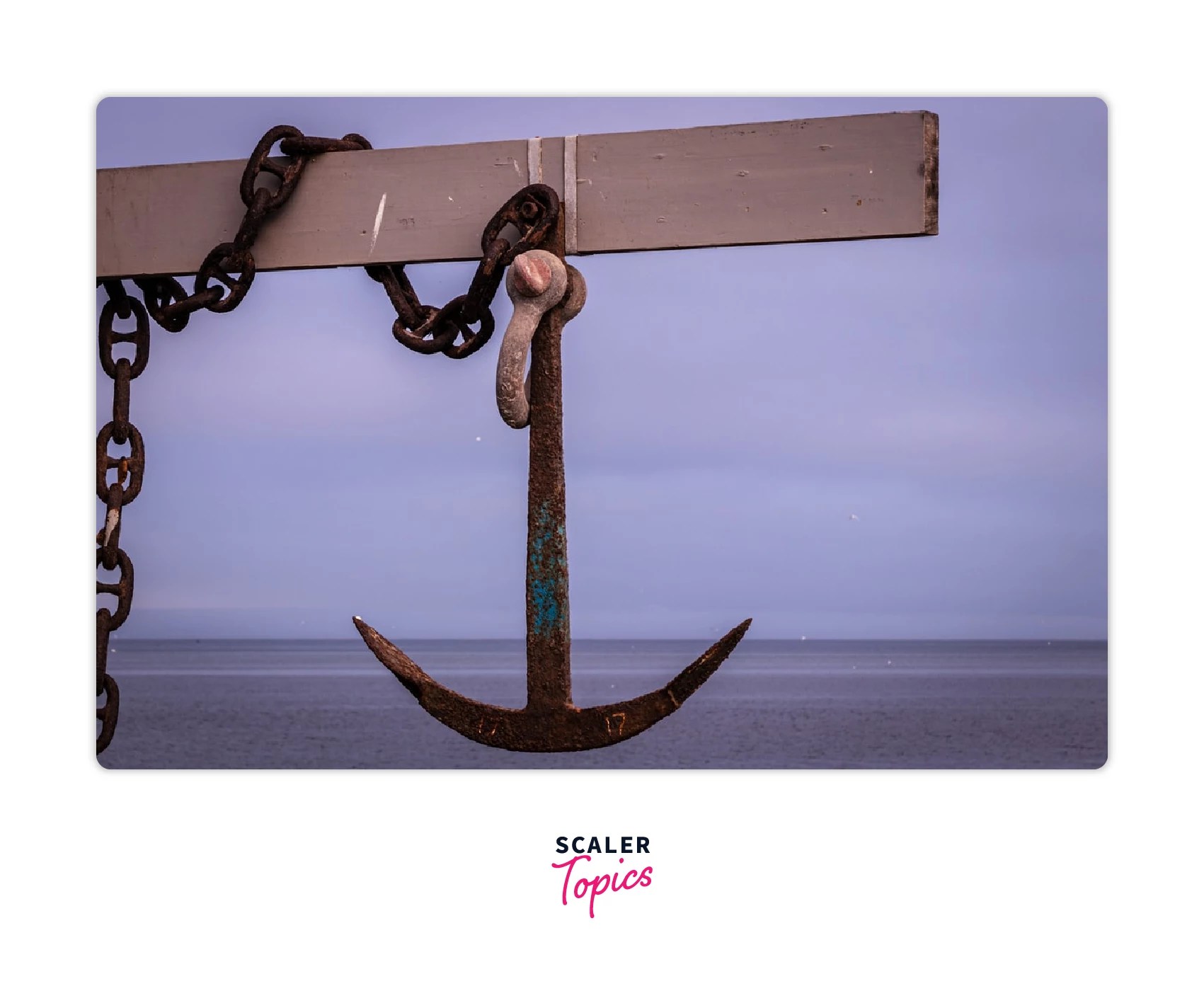 Anchor Tag in HTML Scaler Topics