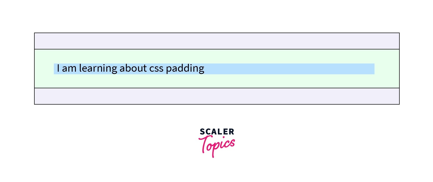 CSS Padding Scaler Topics