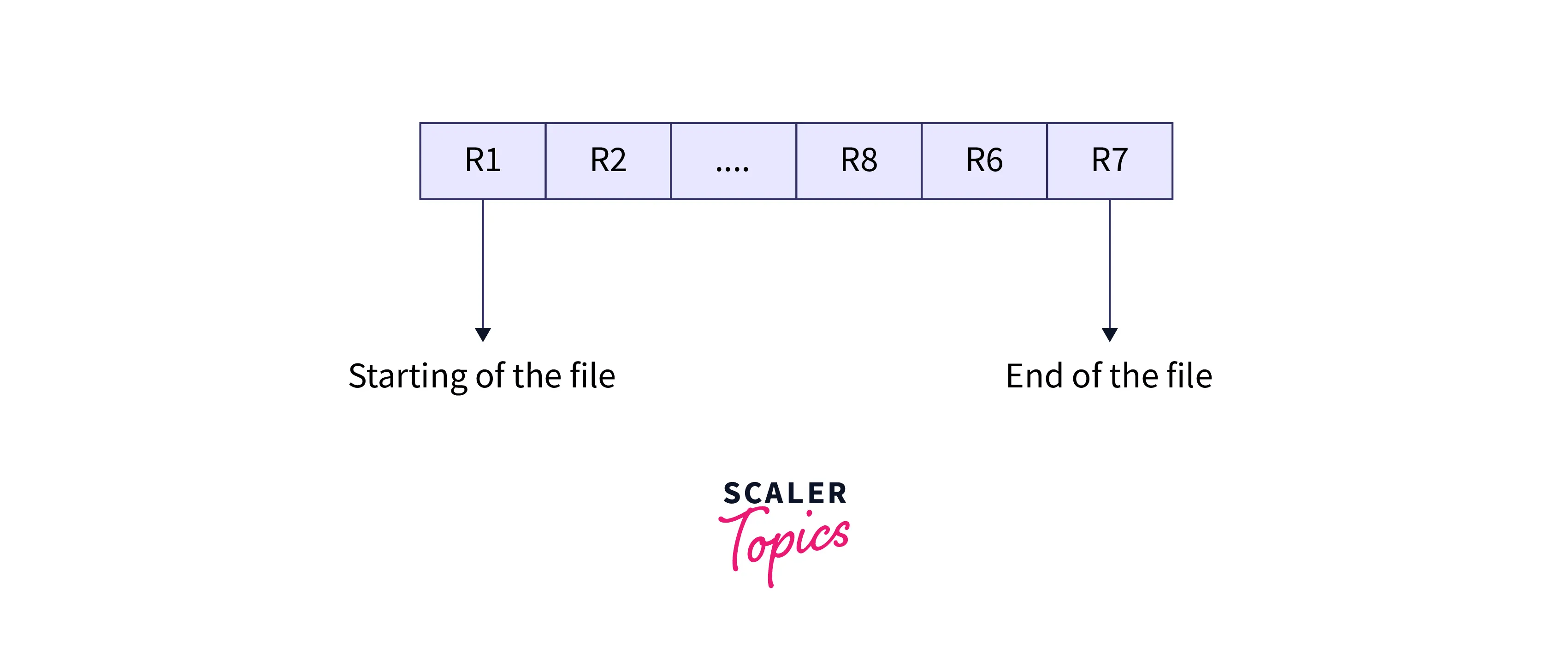 What is Sequential File Organization in DBMS? Scaler Topics
