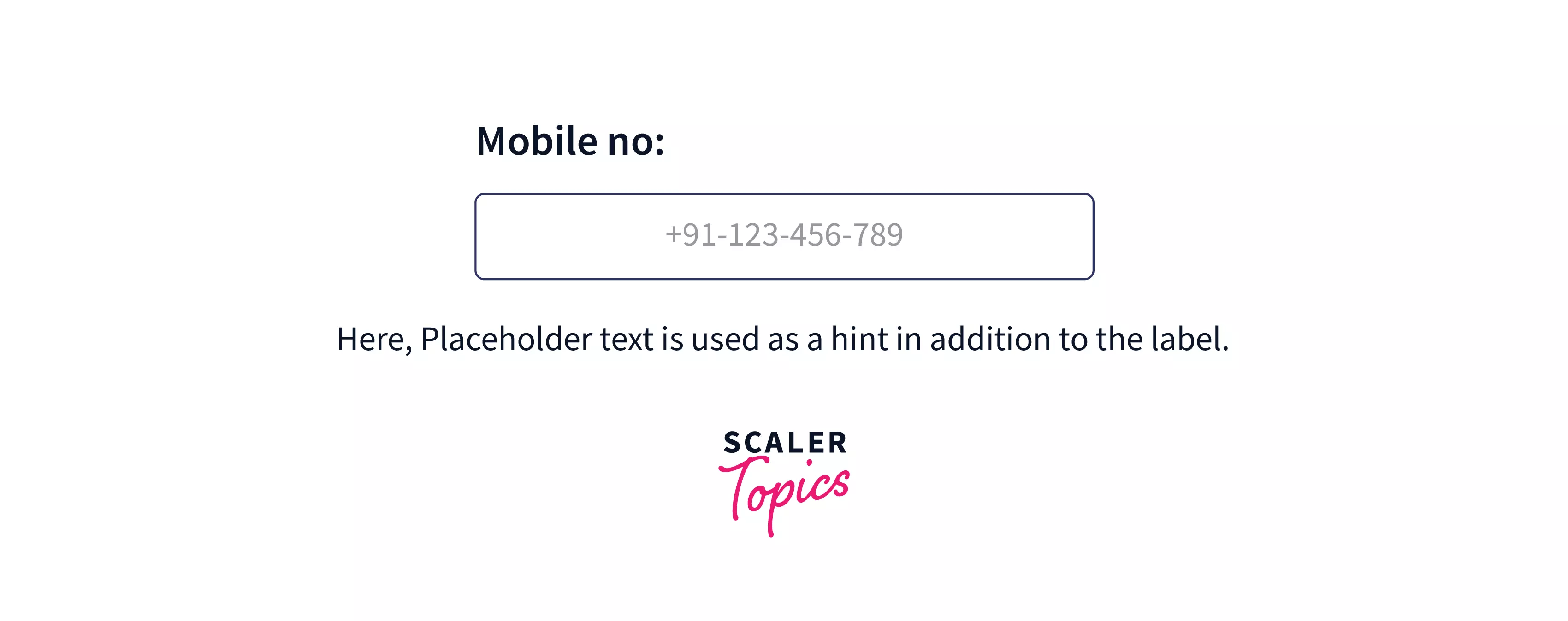 placeholder in CSS Scaler Topics