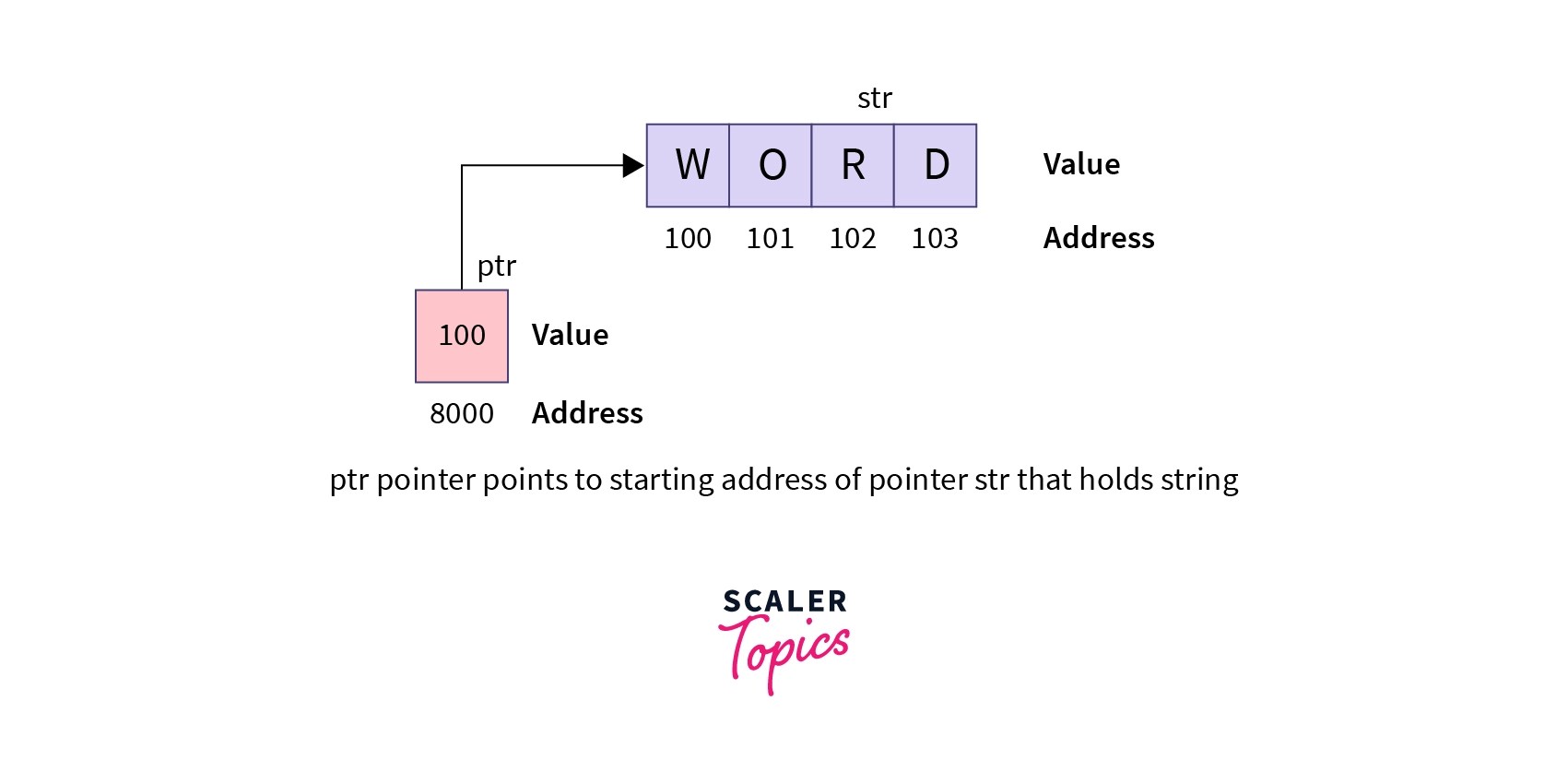 String Pointer in C Scaler Topics