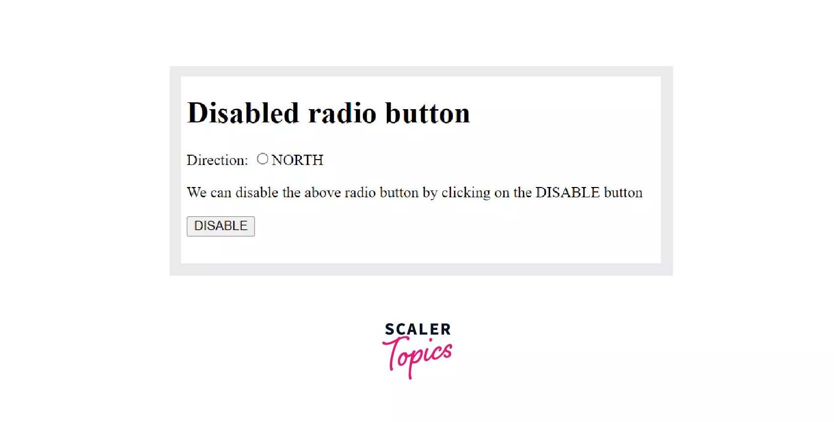 Radio Button in HTML Scaler Topics