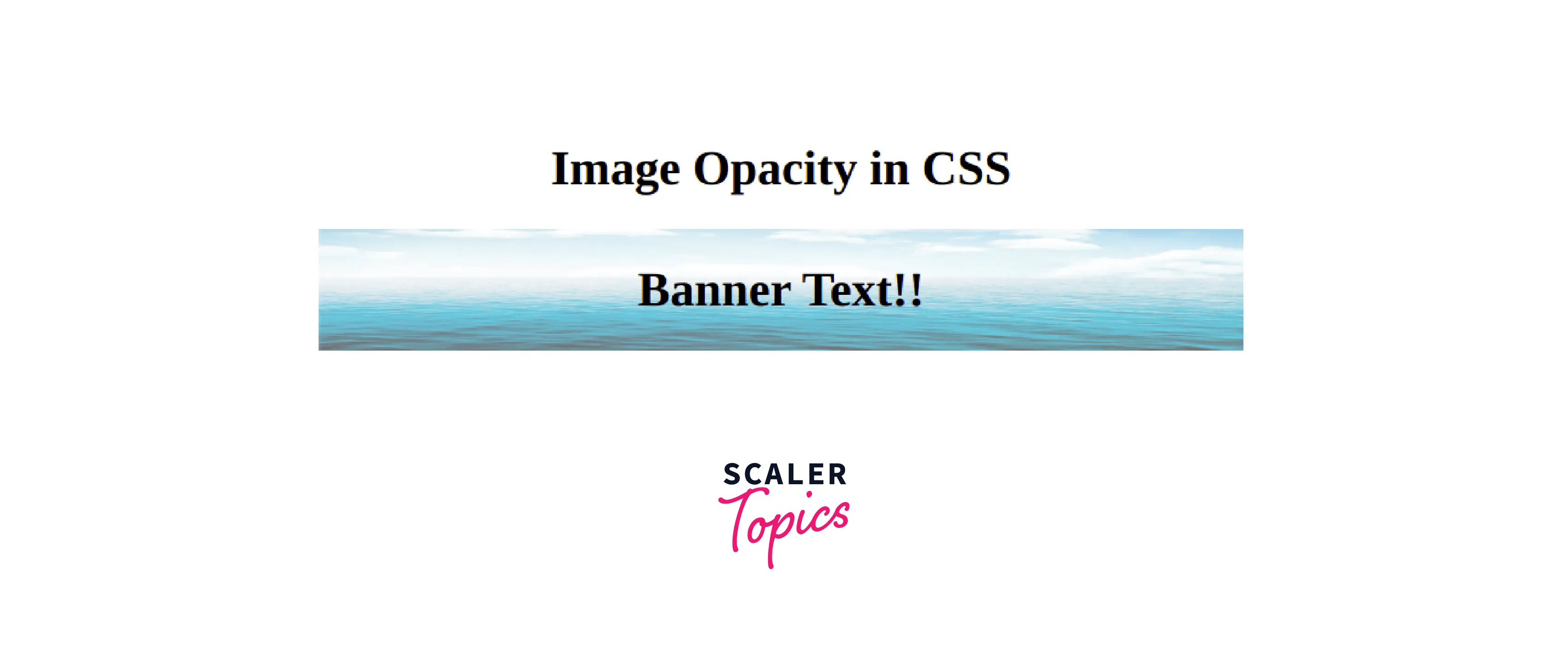 How to Change Background Image Opacity in CSS Scaler Topics
