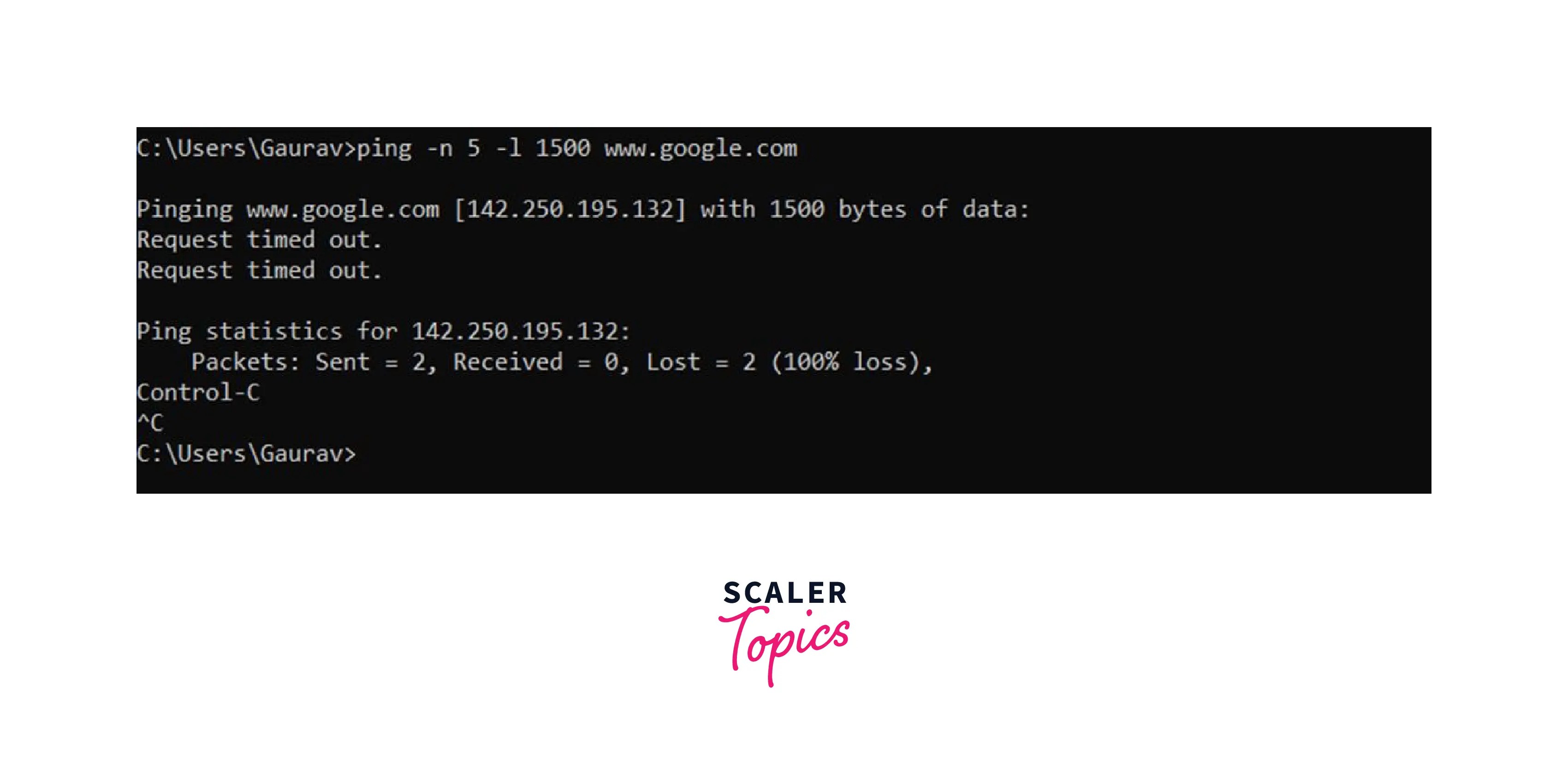 What is Ping in Cyber Security? Scaler Topics