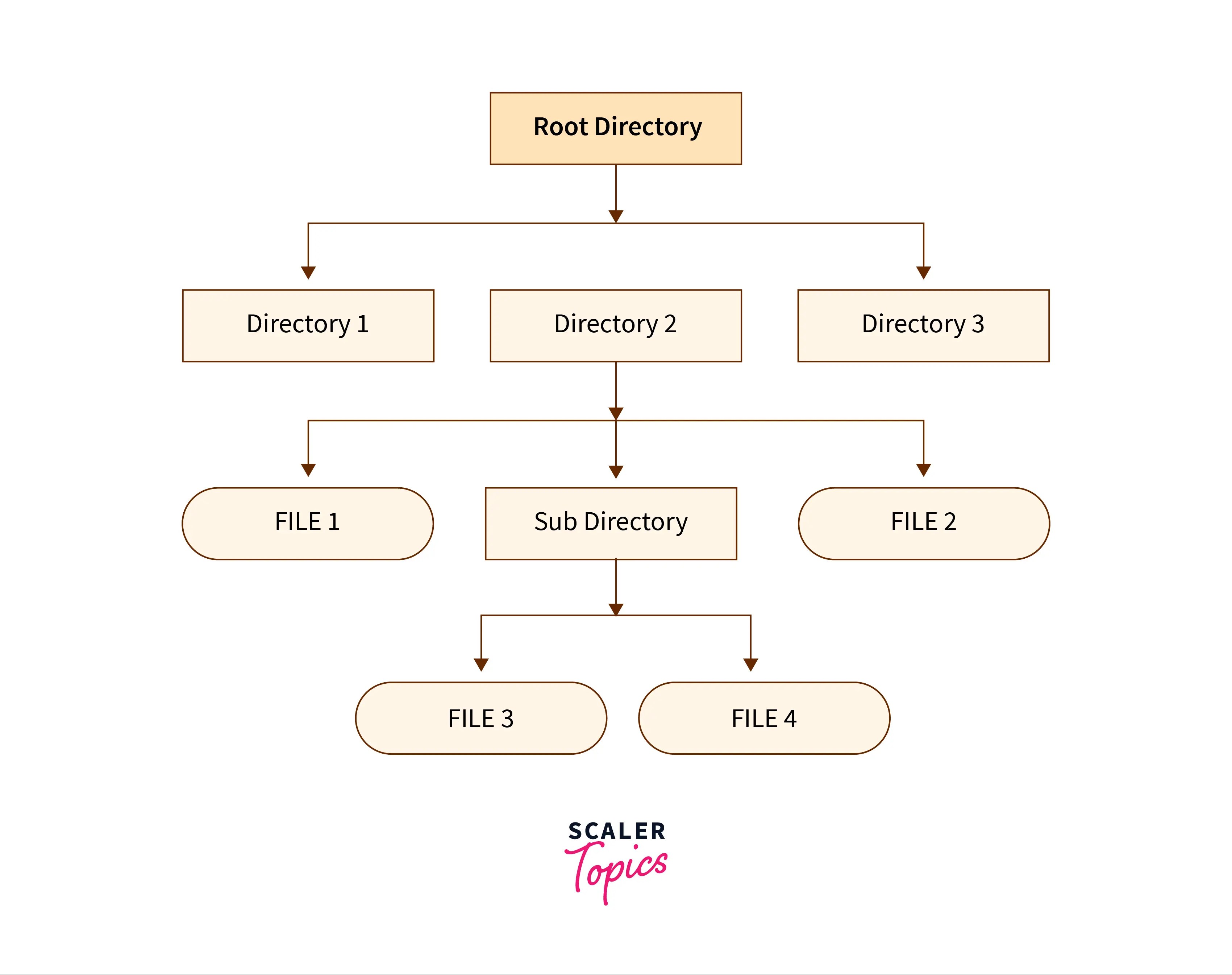 File Management in Operating System Scaler Topics