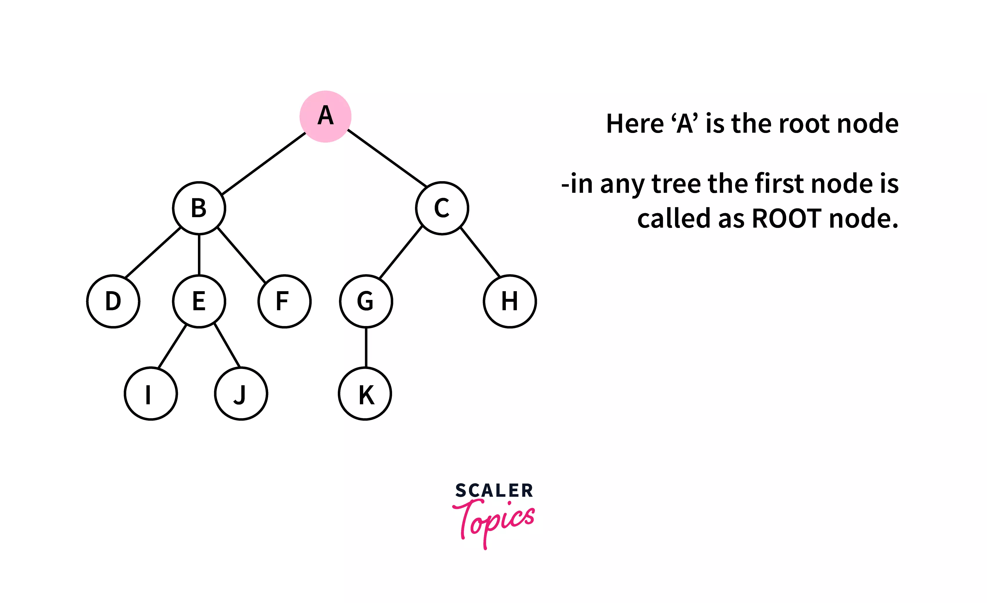 Binary Tree in C Types and Implementation Scaler Topics
