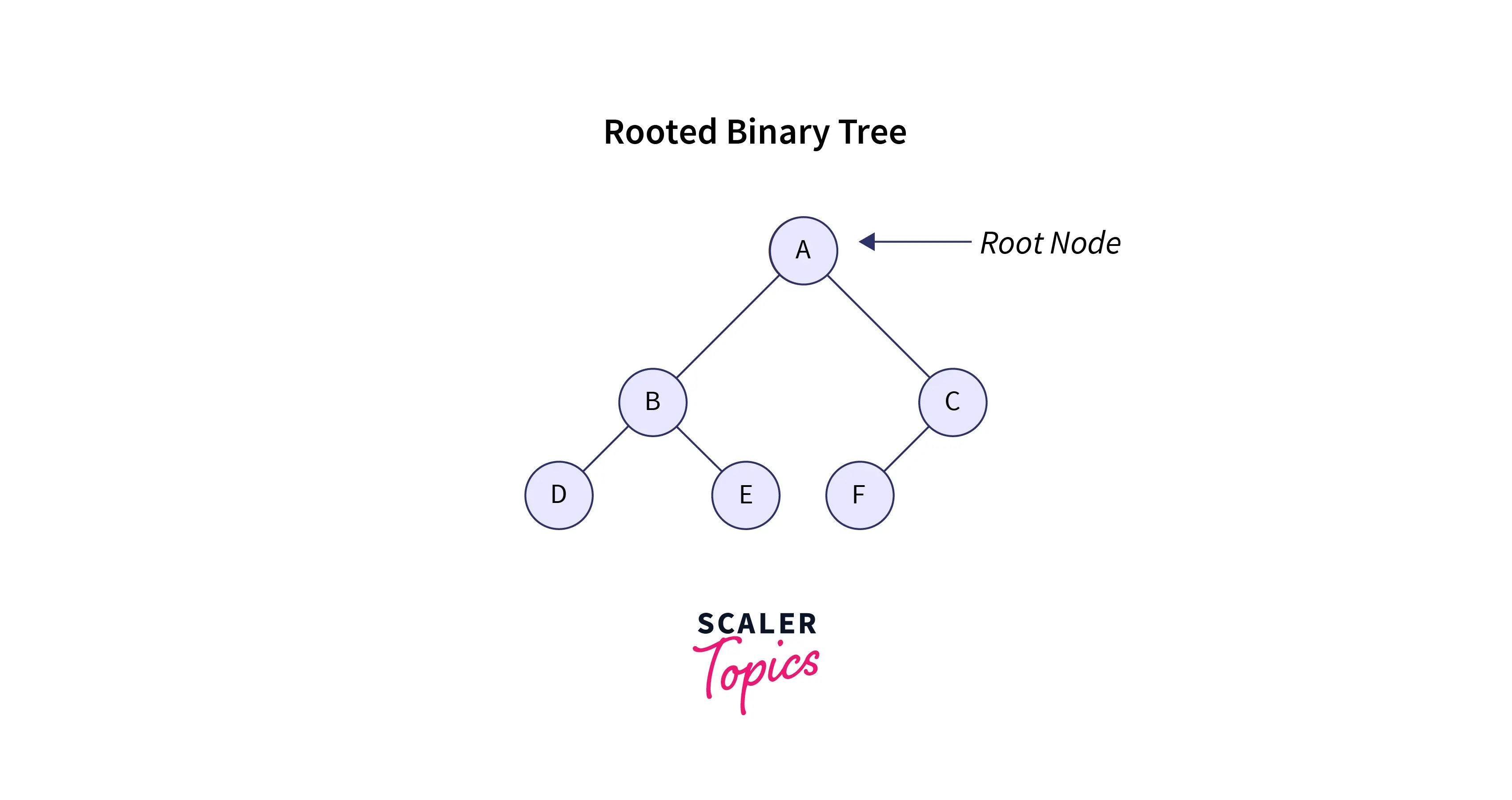 Types of Binary Tree Scaler Topics