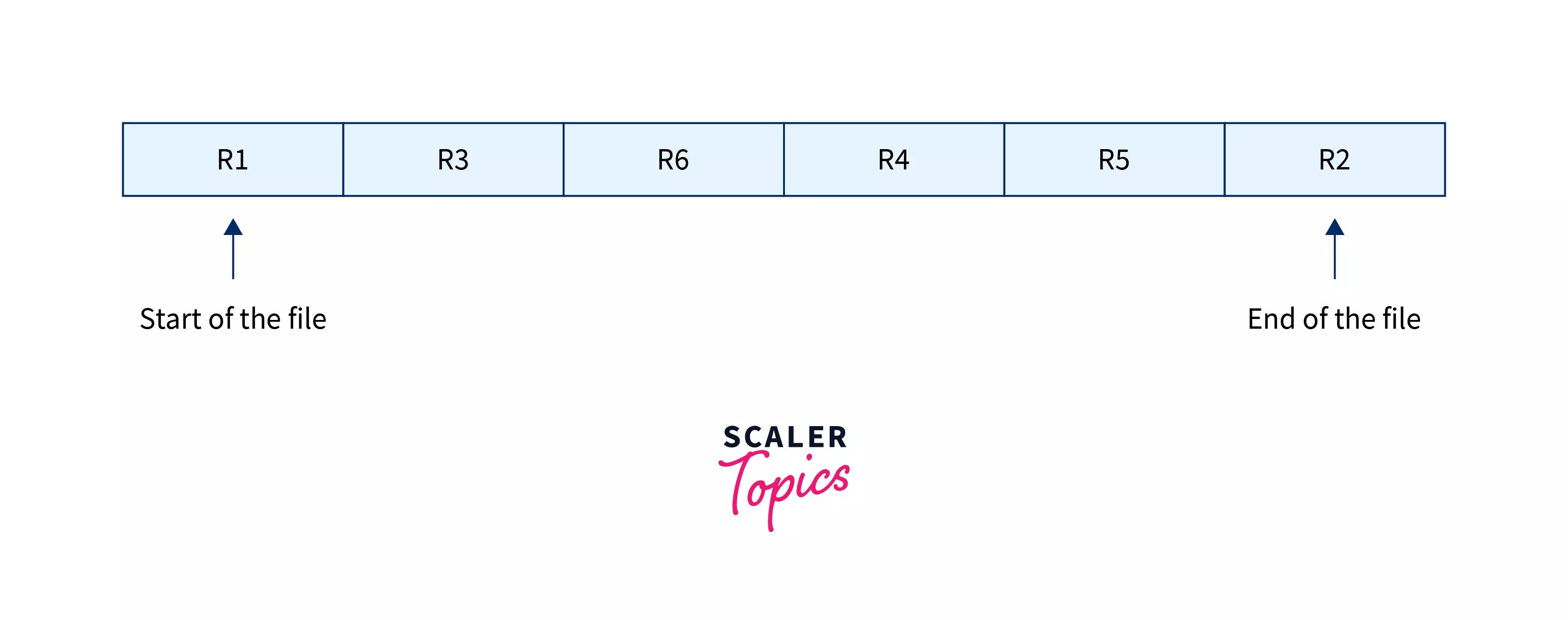 File Organization in DBMS Scaler Topics
