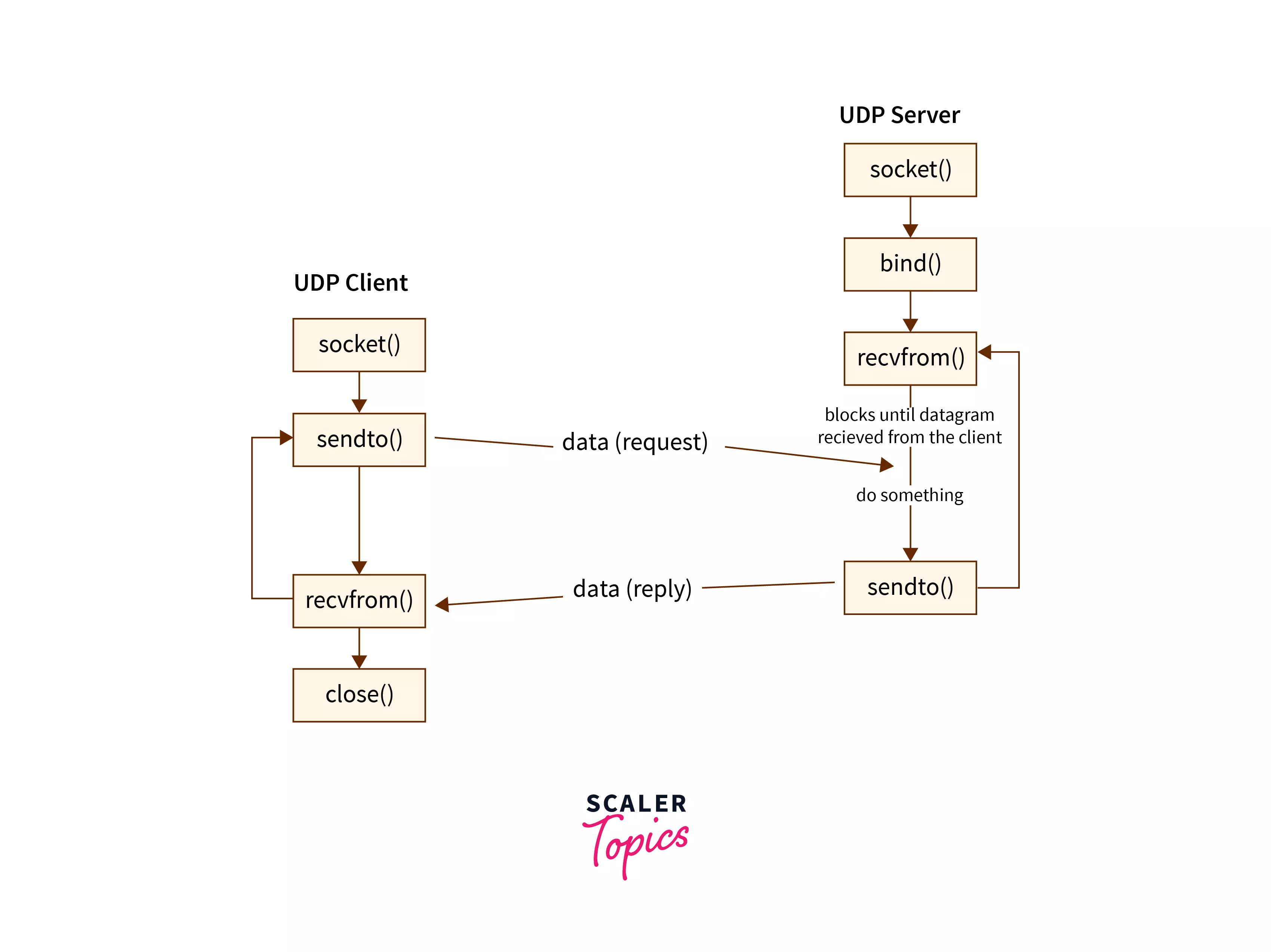 Socket Programming in Computer Network Scaler Topics