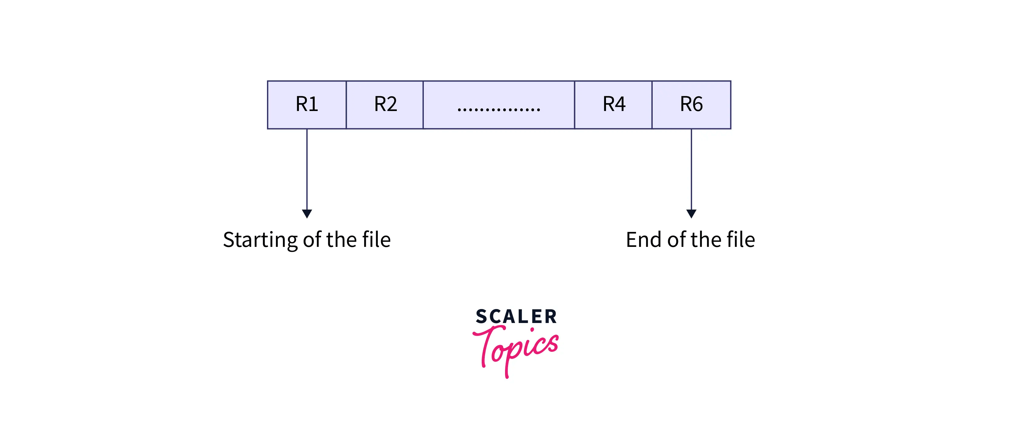 What is Sequential File Organization in DBMS? Scaler Topics