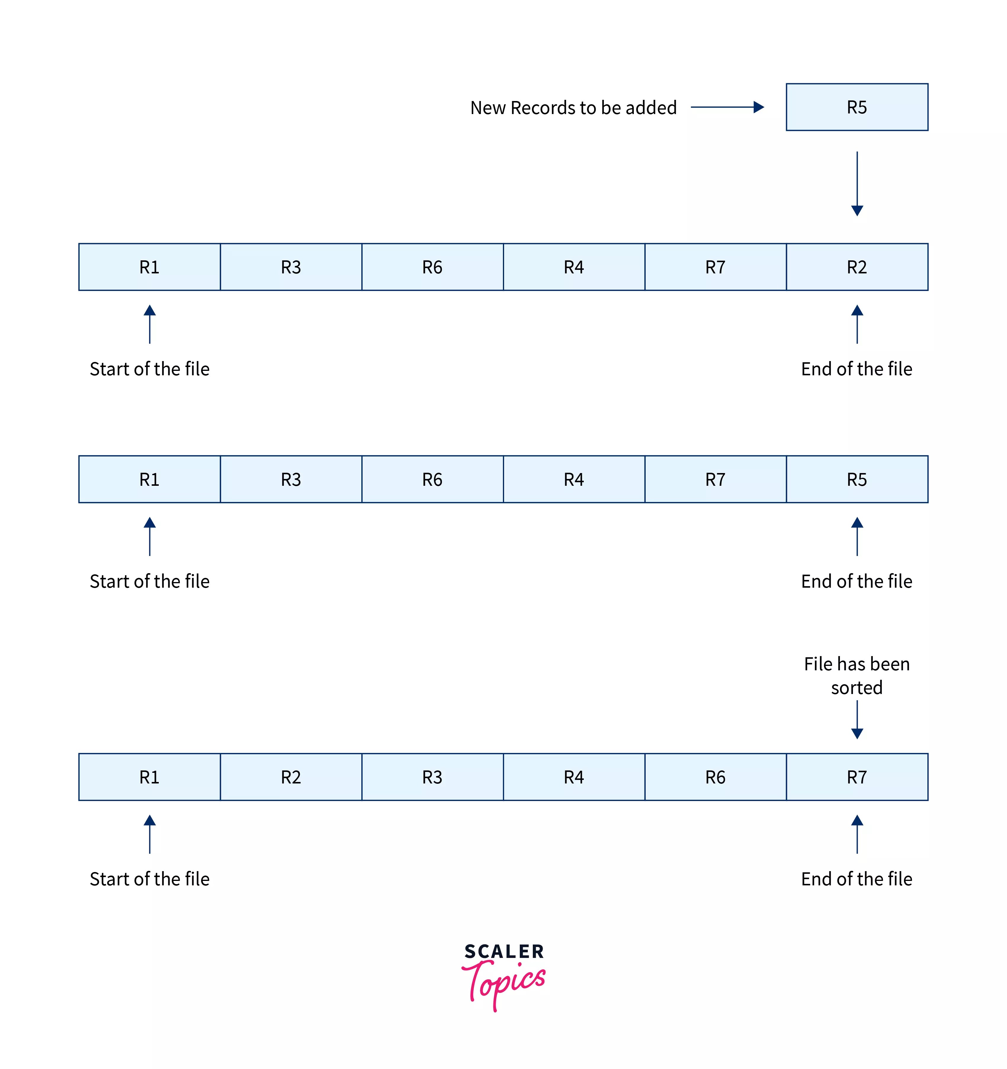 File Organization in DBMS Scaler Topics